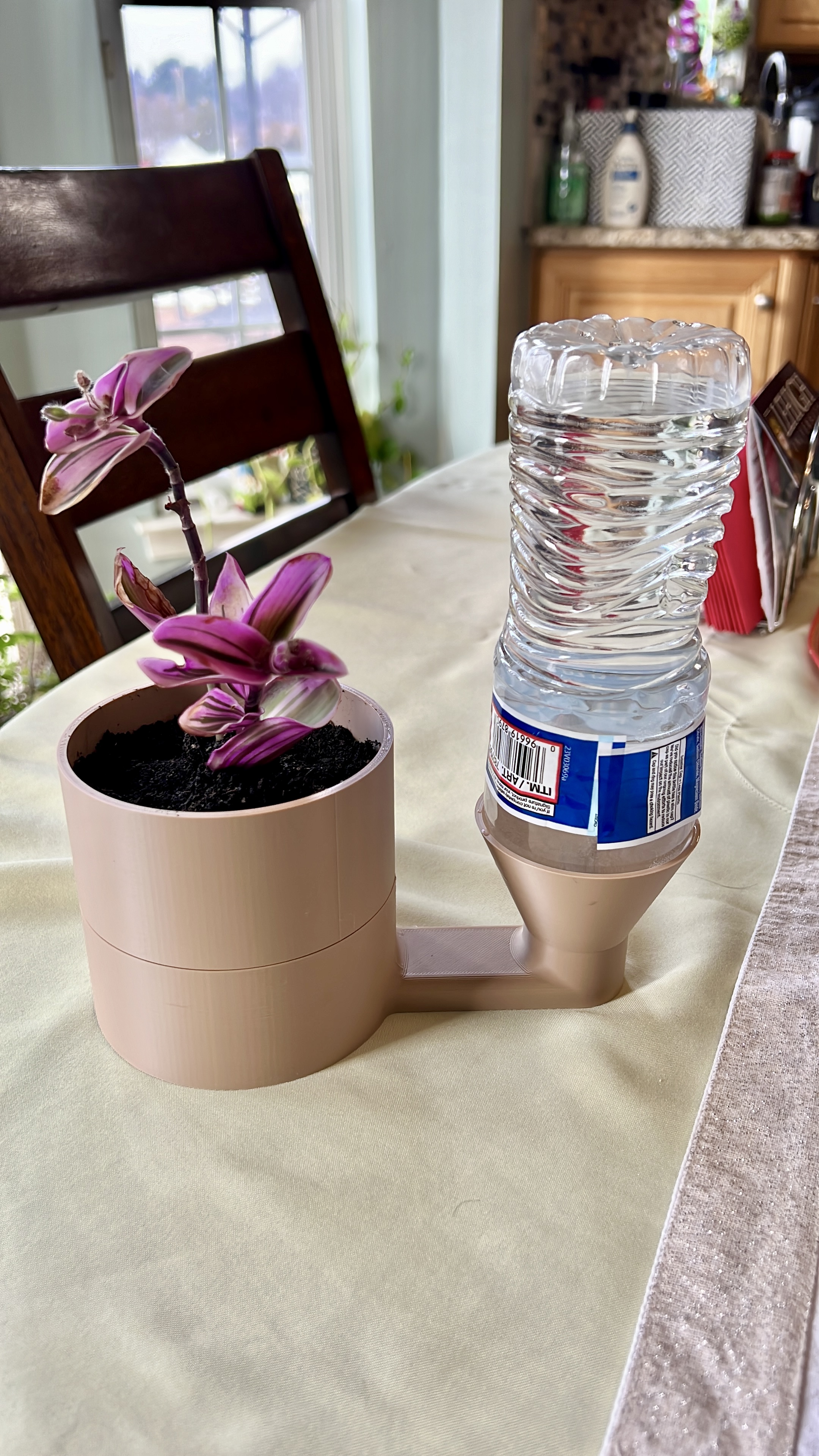 Self Watering Pot