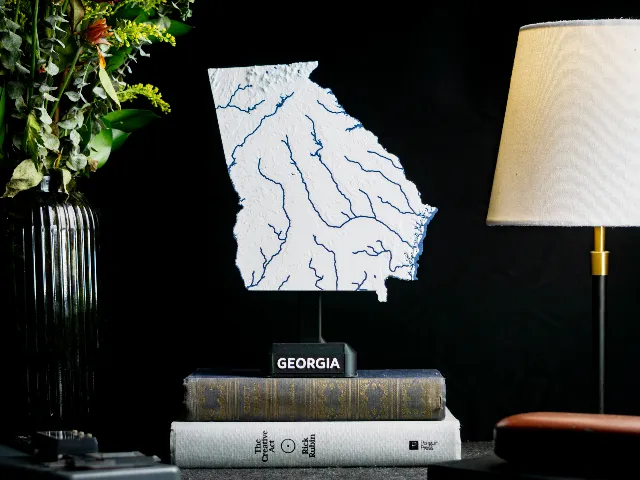 Georgia, USA (GA) Topographic Map with Rivers
