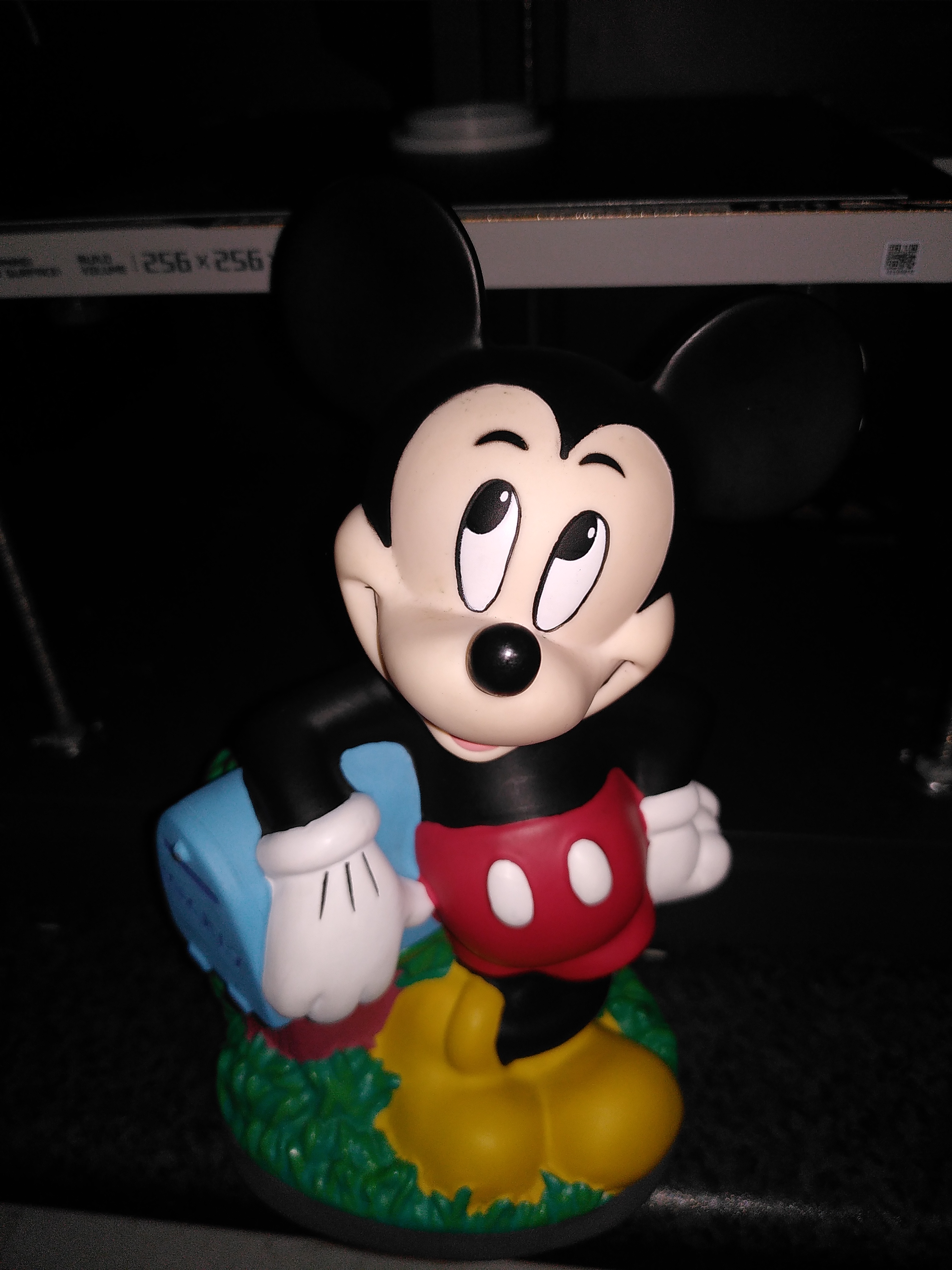 Lid for Disney Piggy Bank