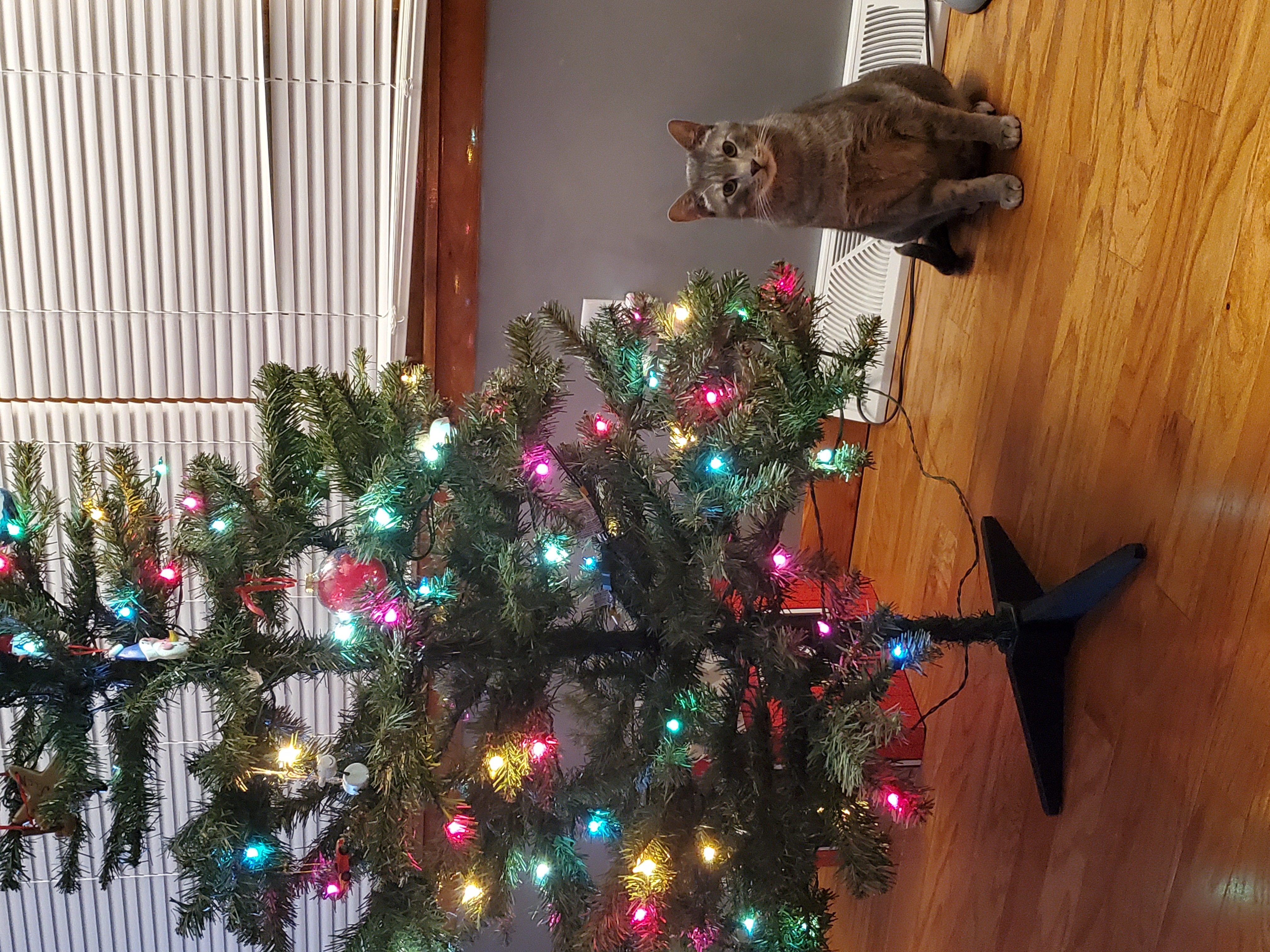Christmas Tree Foot Replacement
