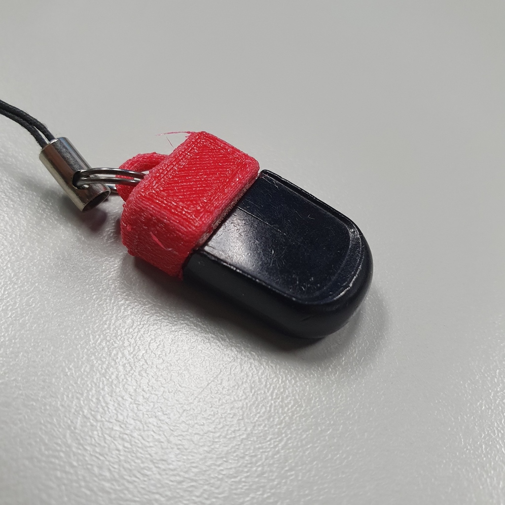 Sandisk Cruzer Fit Case