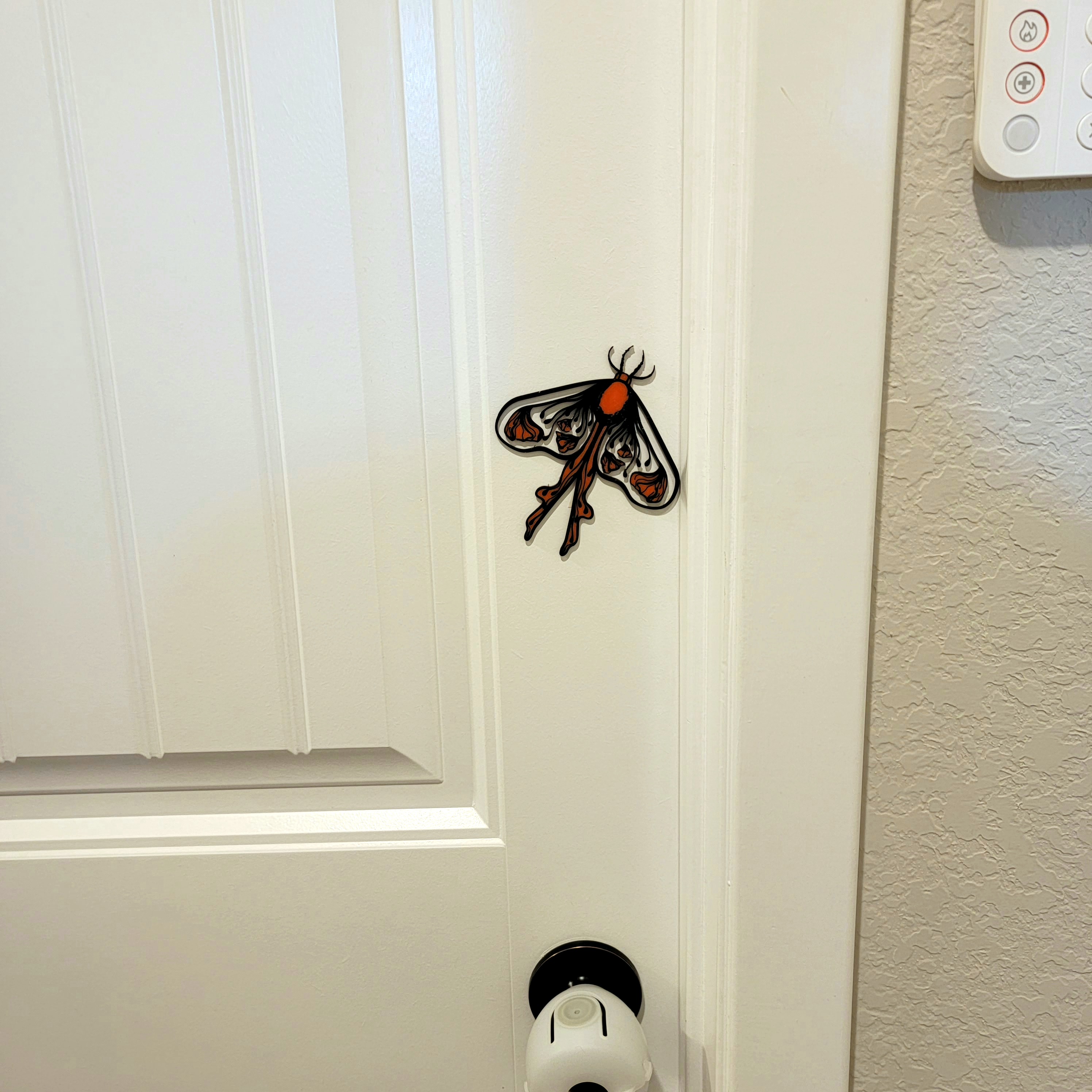 Boho Art Moth