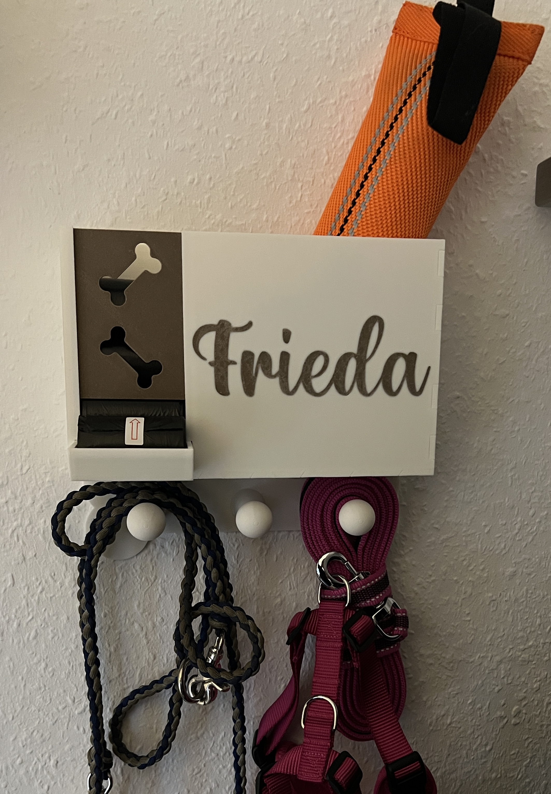 Dog Wall Station
