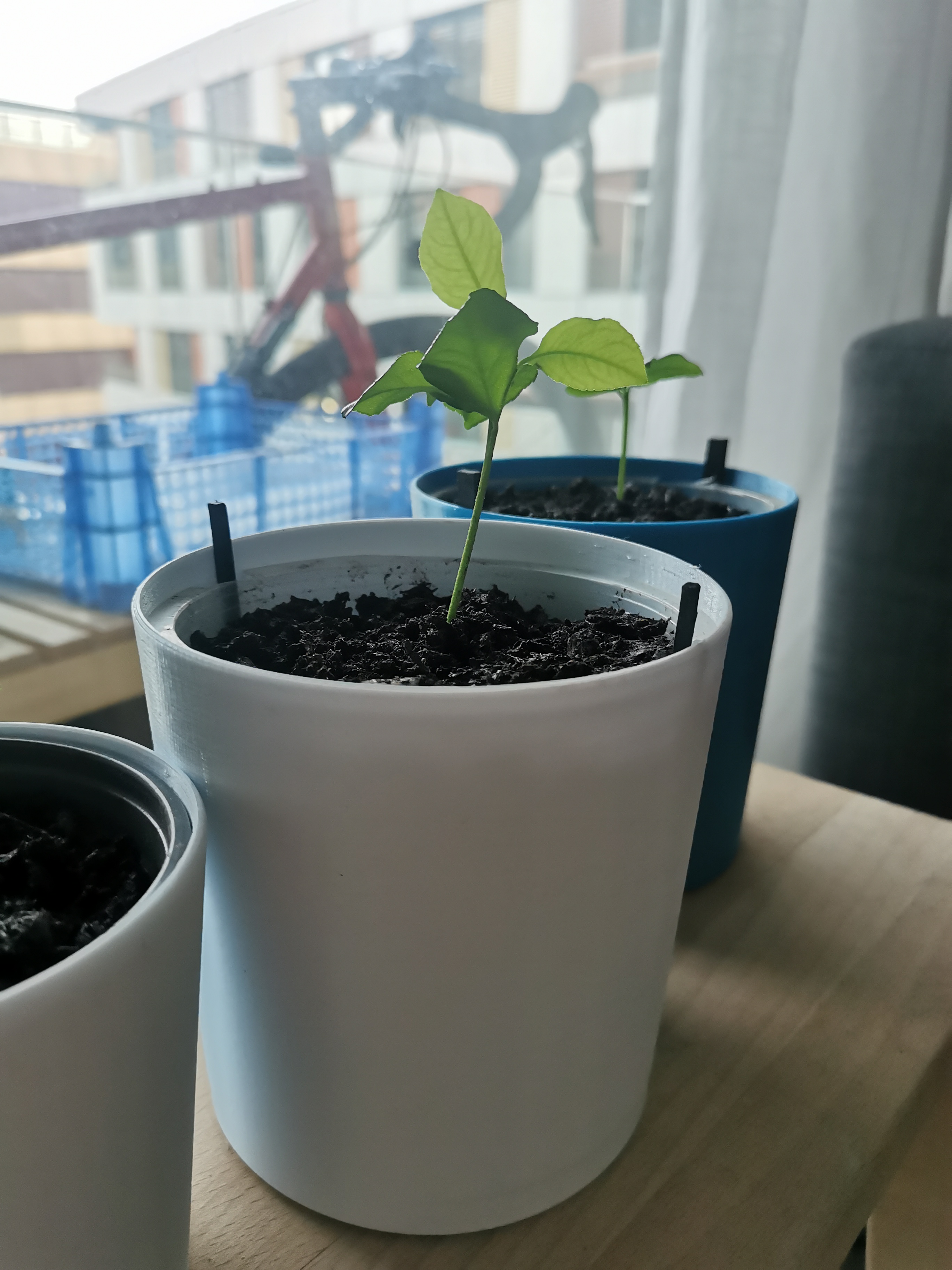 Plant pot | Cache pot