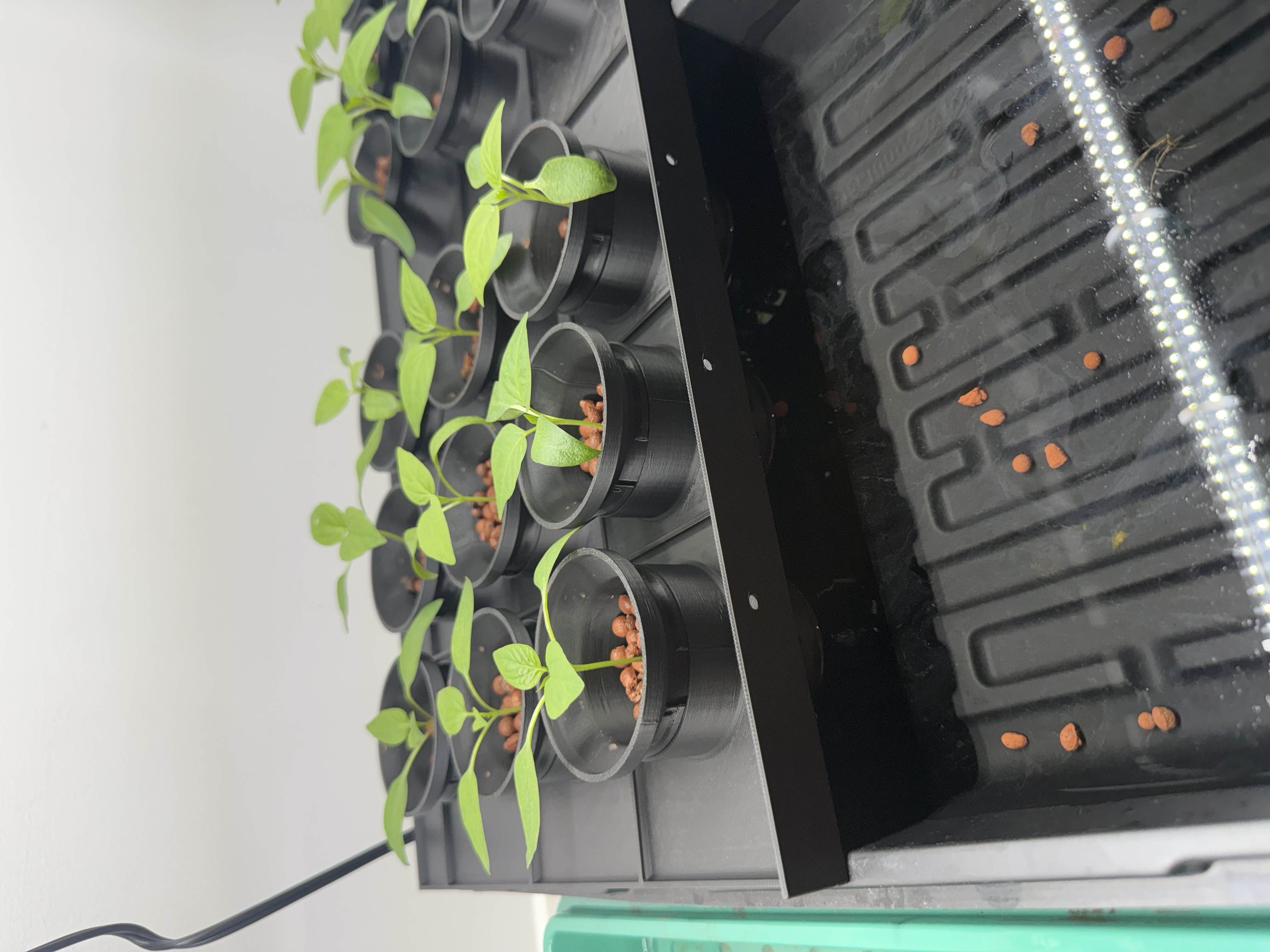 Modular Hydroponics Tower Netcup Seeding tray - Greatly improved
