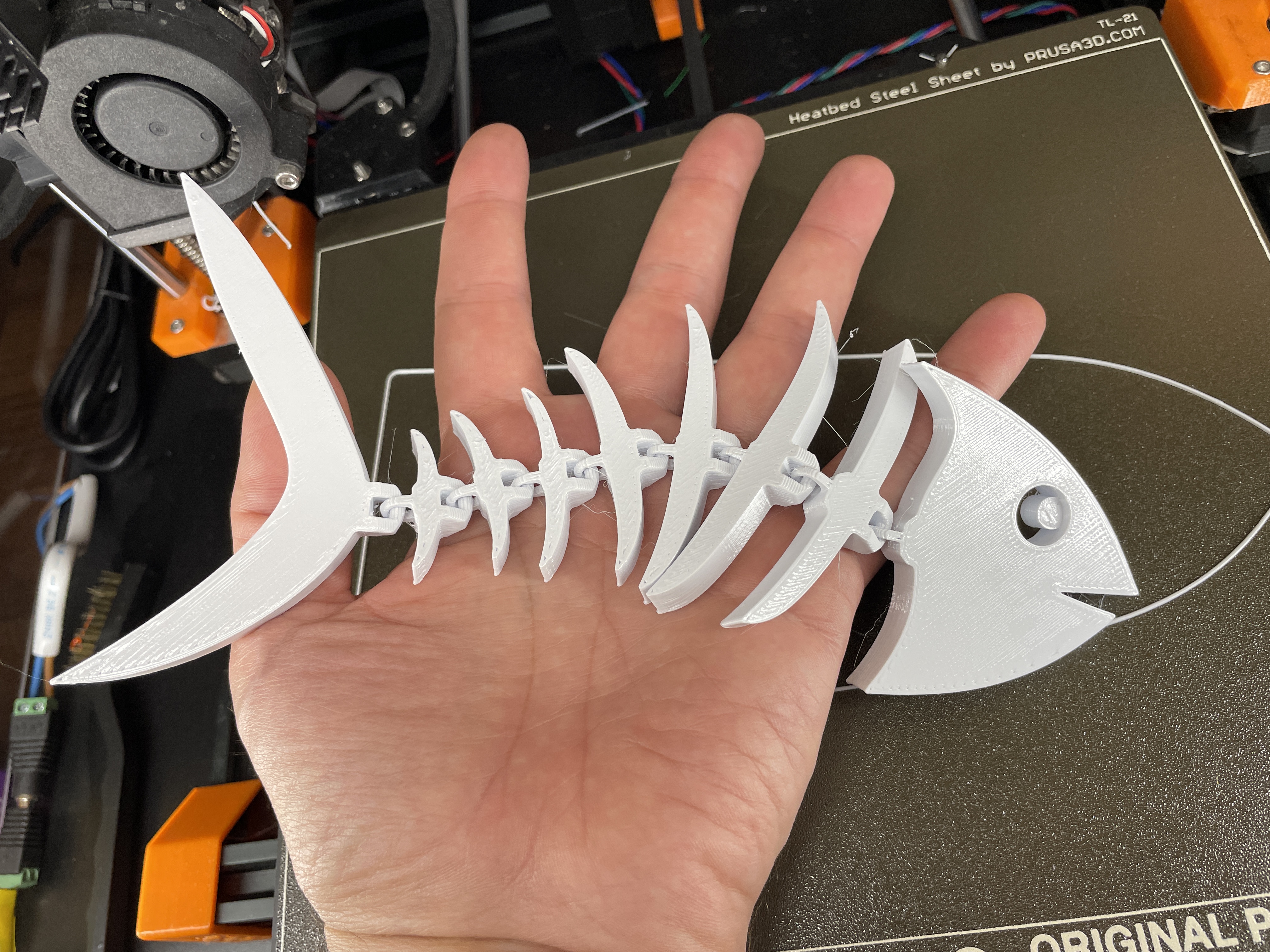Articulated fishbone