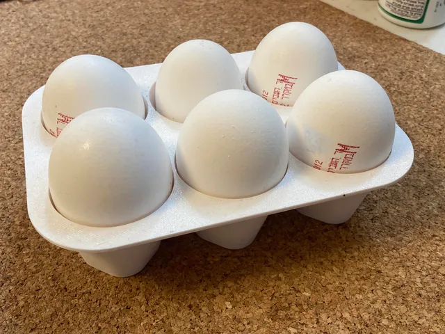 6 eggs tray
