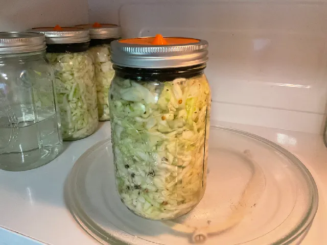Wide Mouth Mason Jar Fermentation Lid