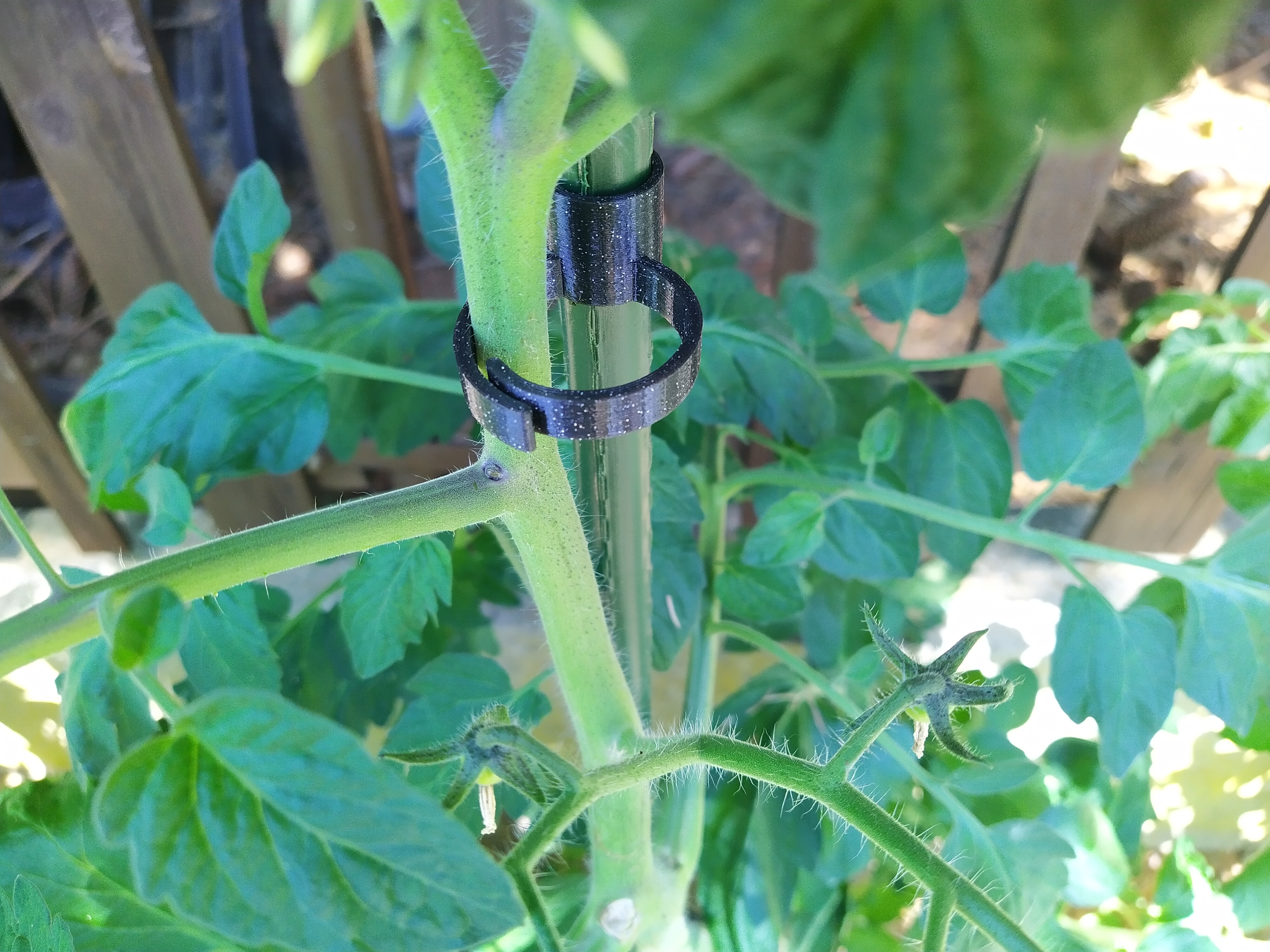 Plant clip
