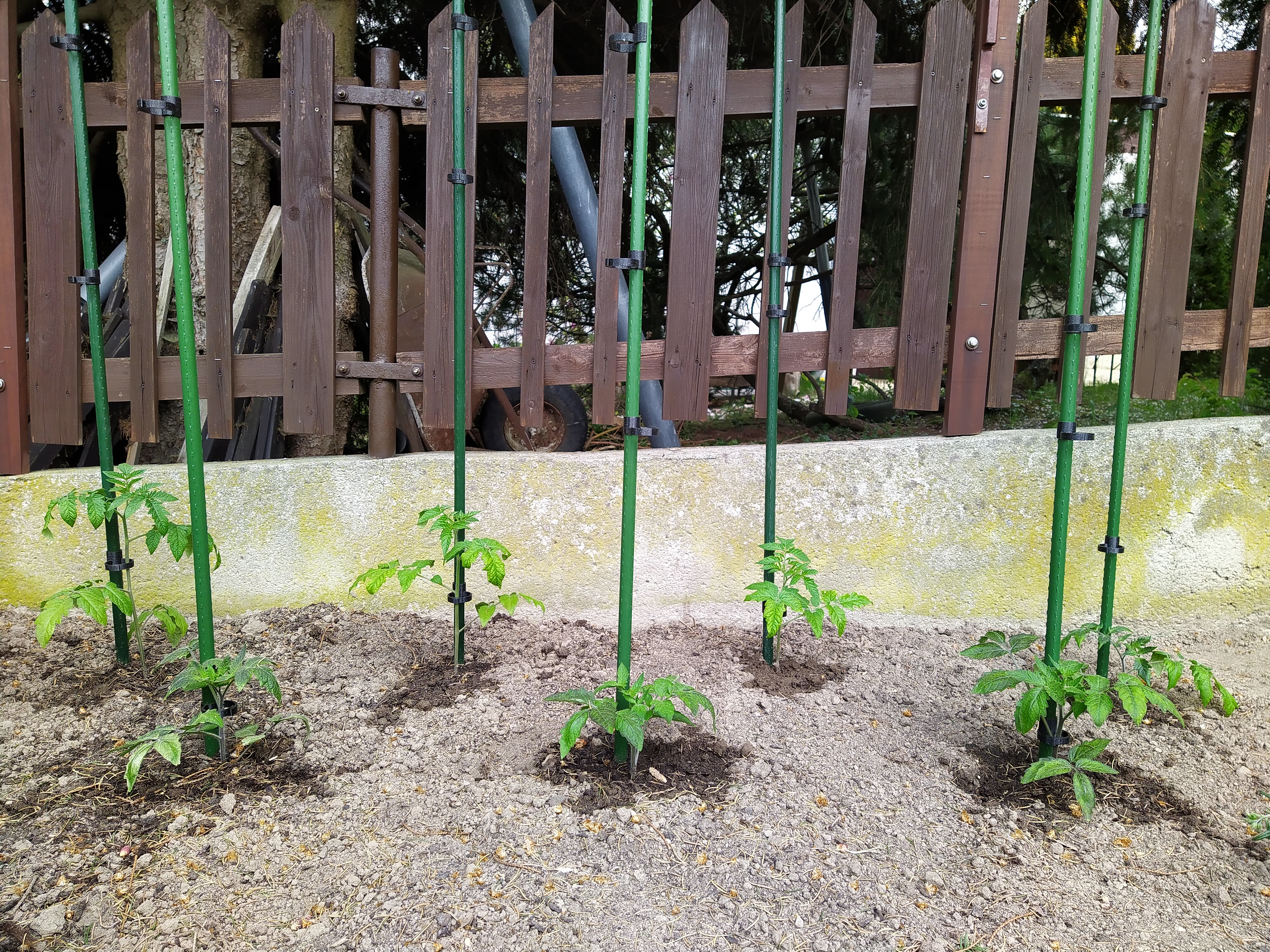 Miniatura 2 do modelo 3D Plant clip