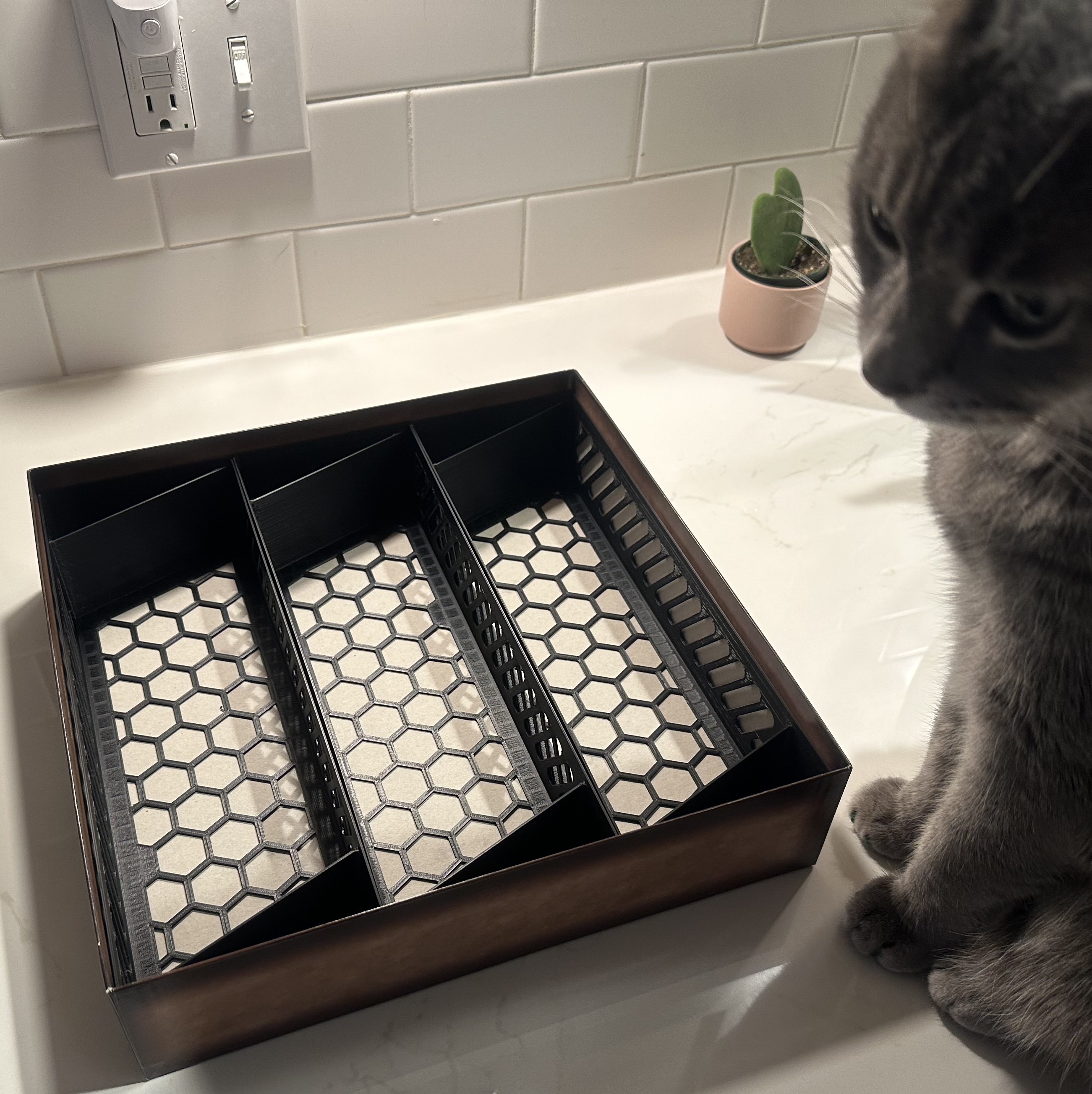 Dominion Card Game Card Holder
