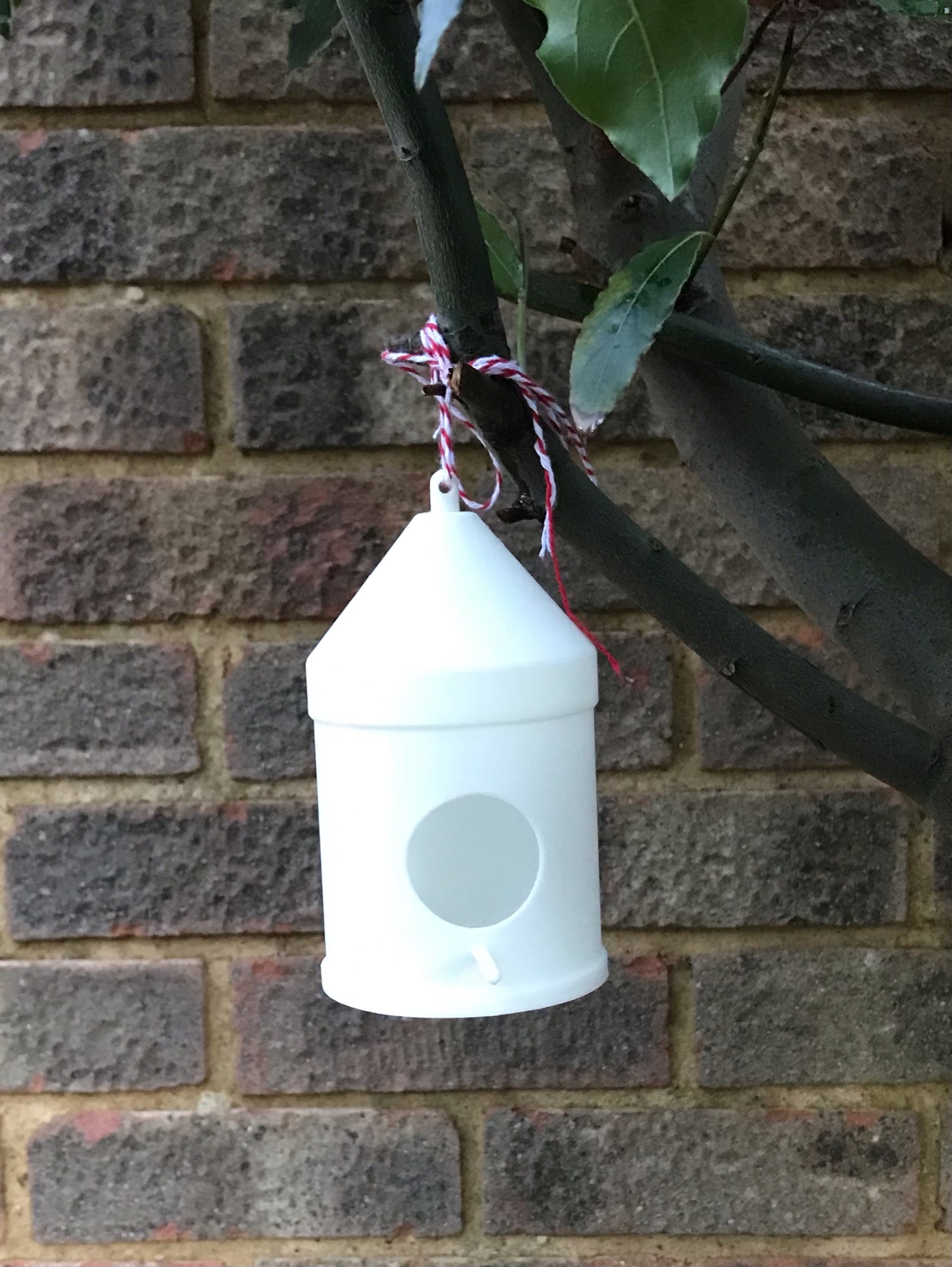 Simple Bird House