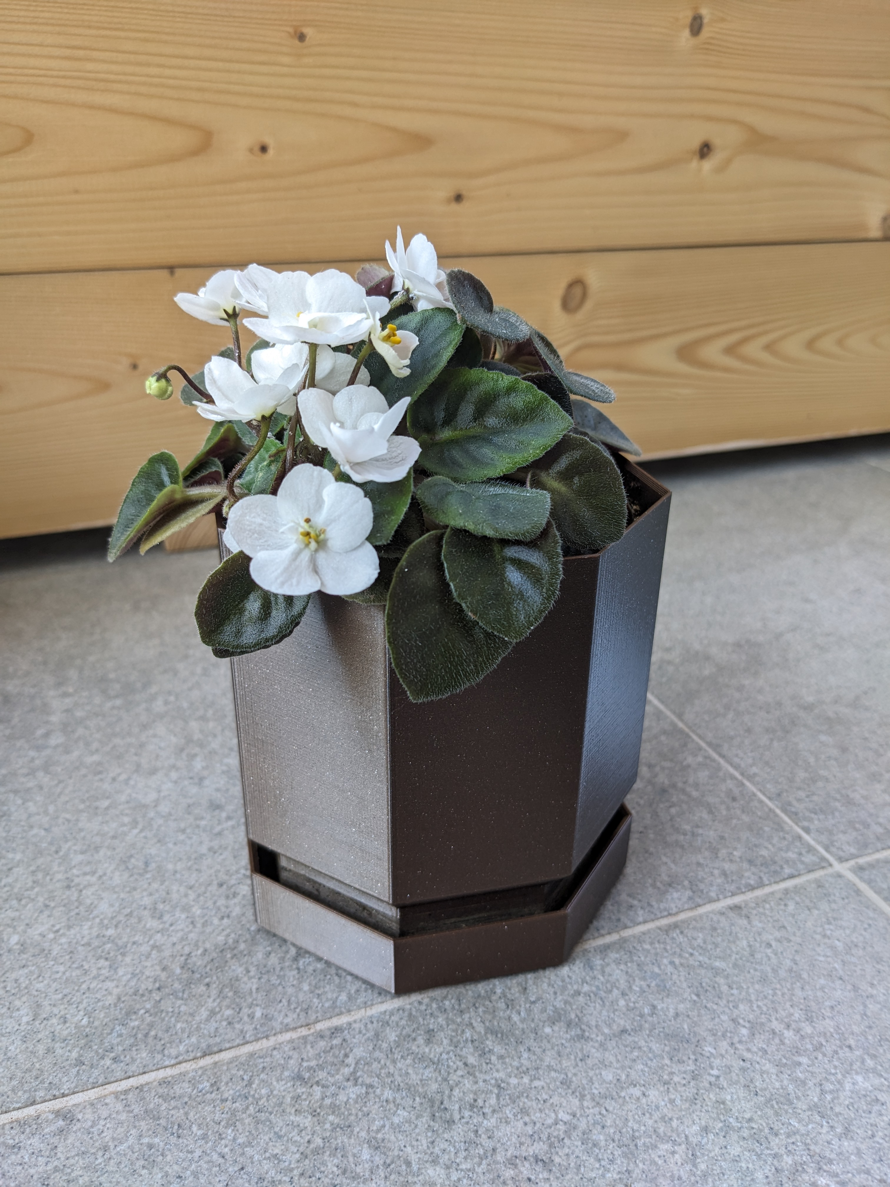 Octagon Pot with Integrated Tray
