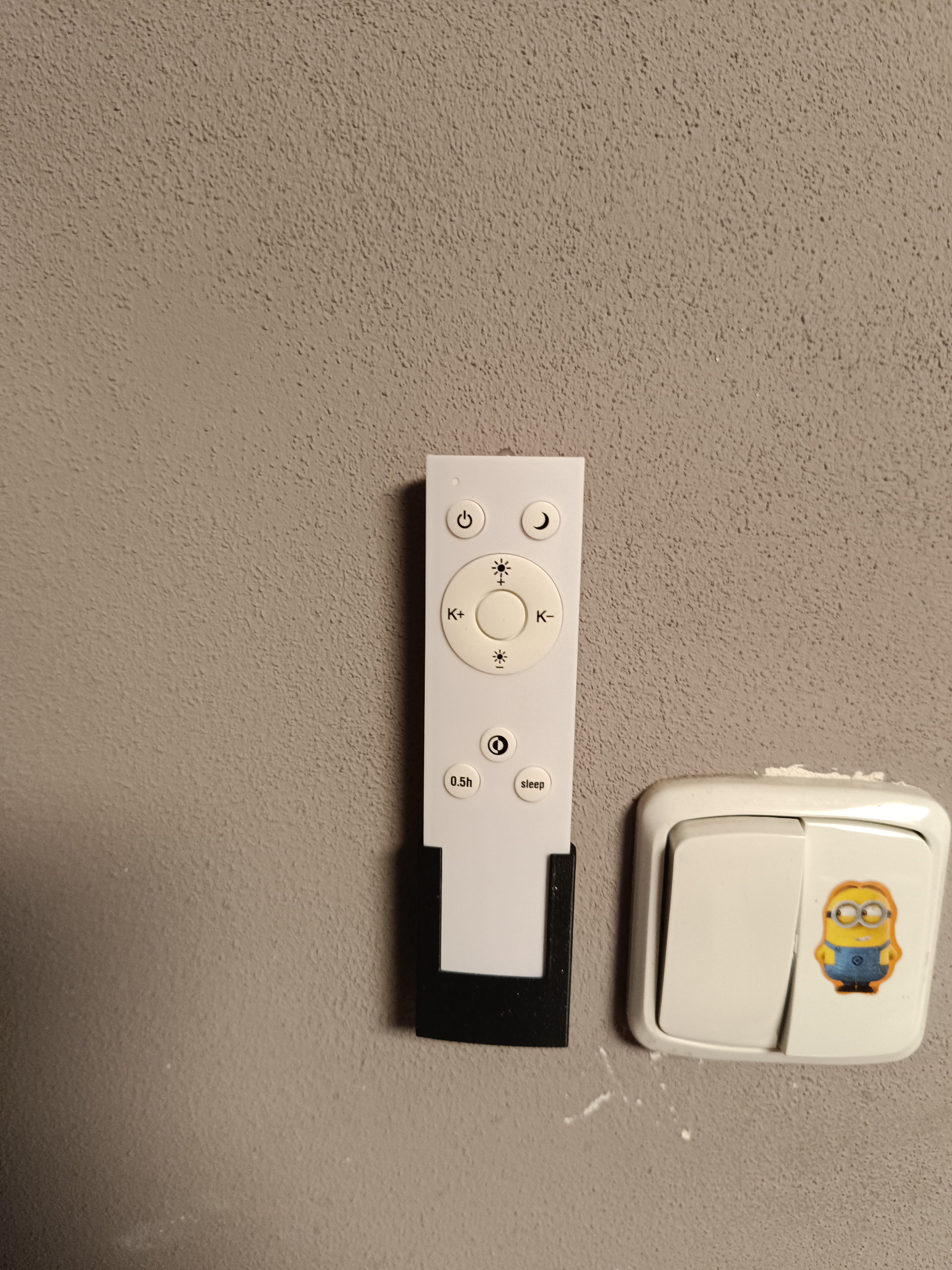 Holder for remote control