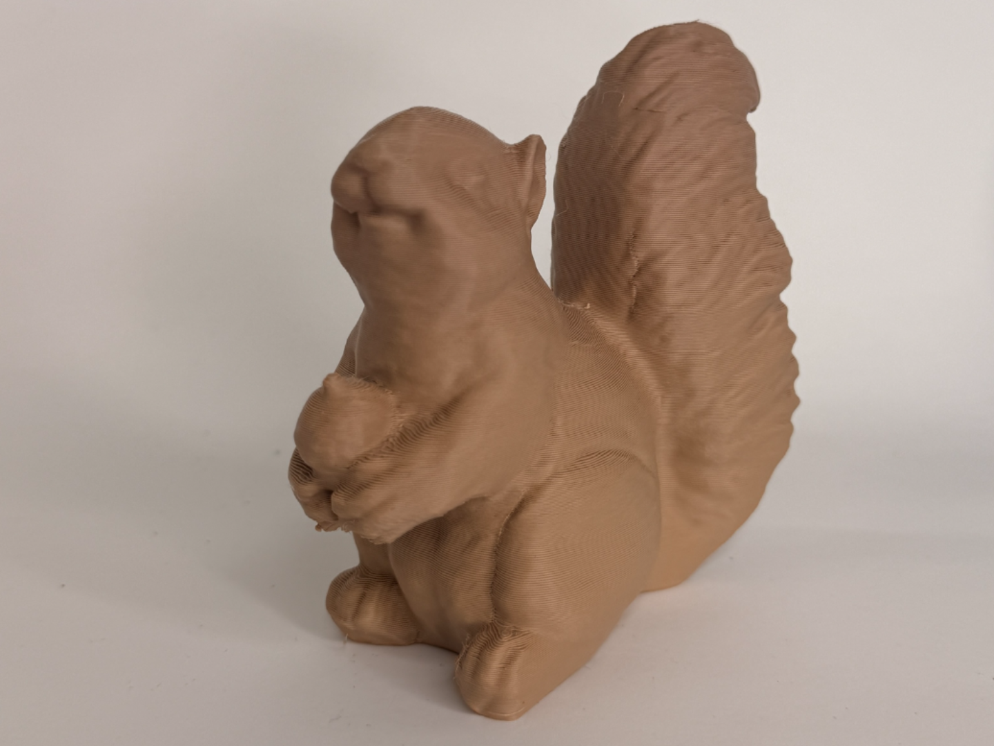 Squirrel #03