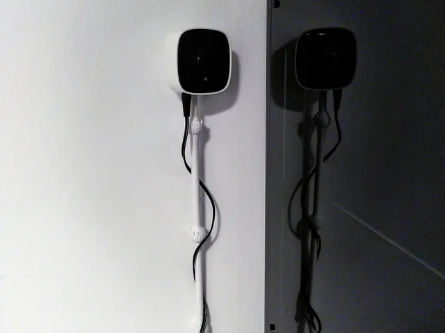 Parametric Booooom for Tapo Camera C100, C110, C111