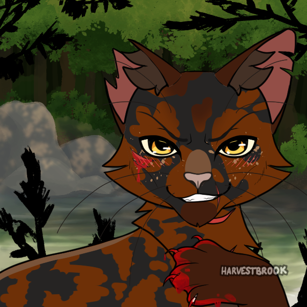 warrior cat