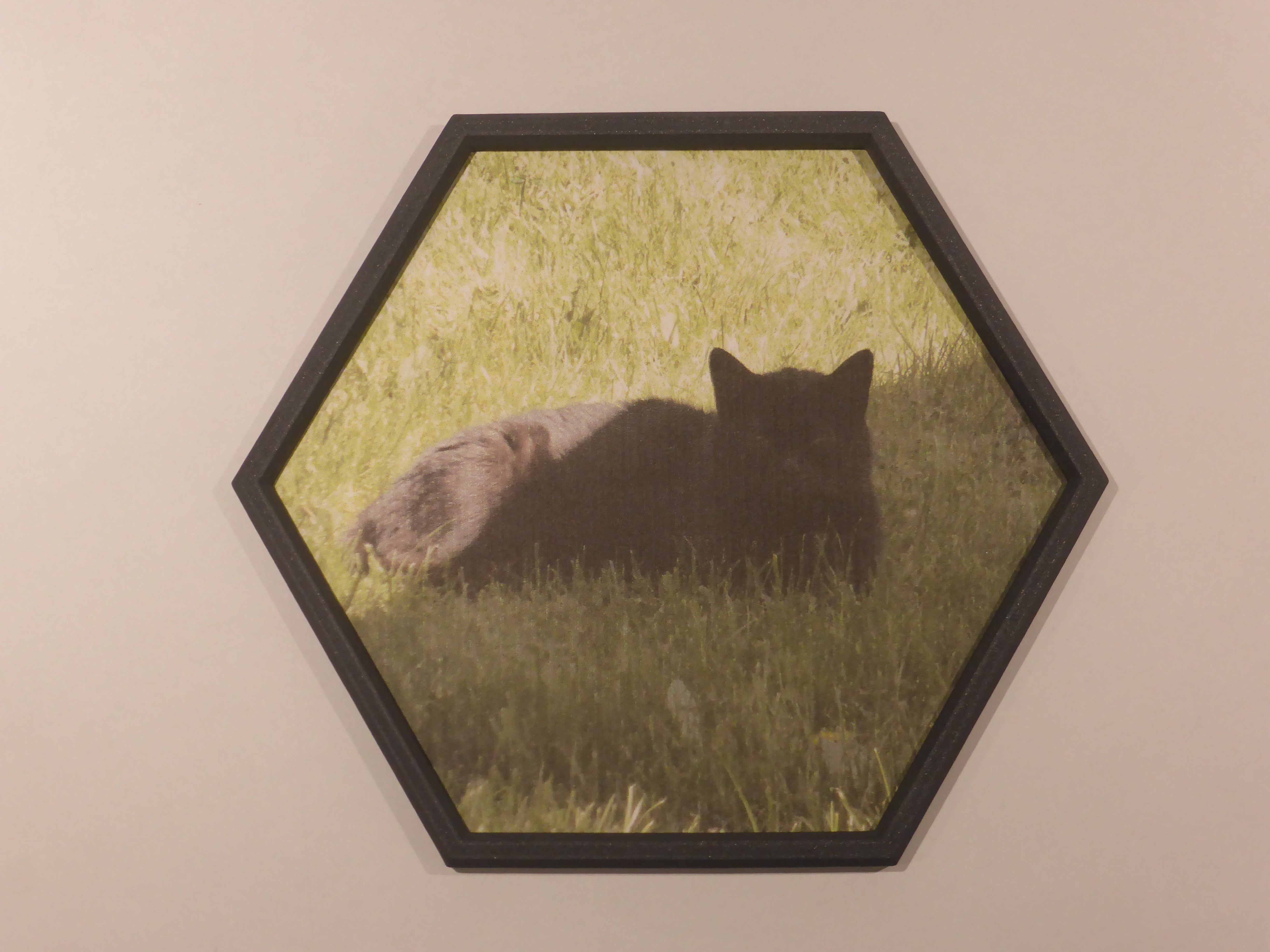 hexagonal picture frame