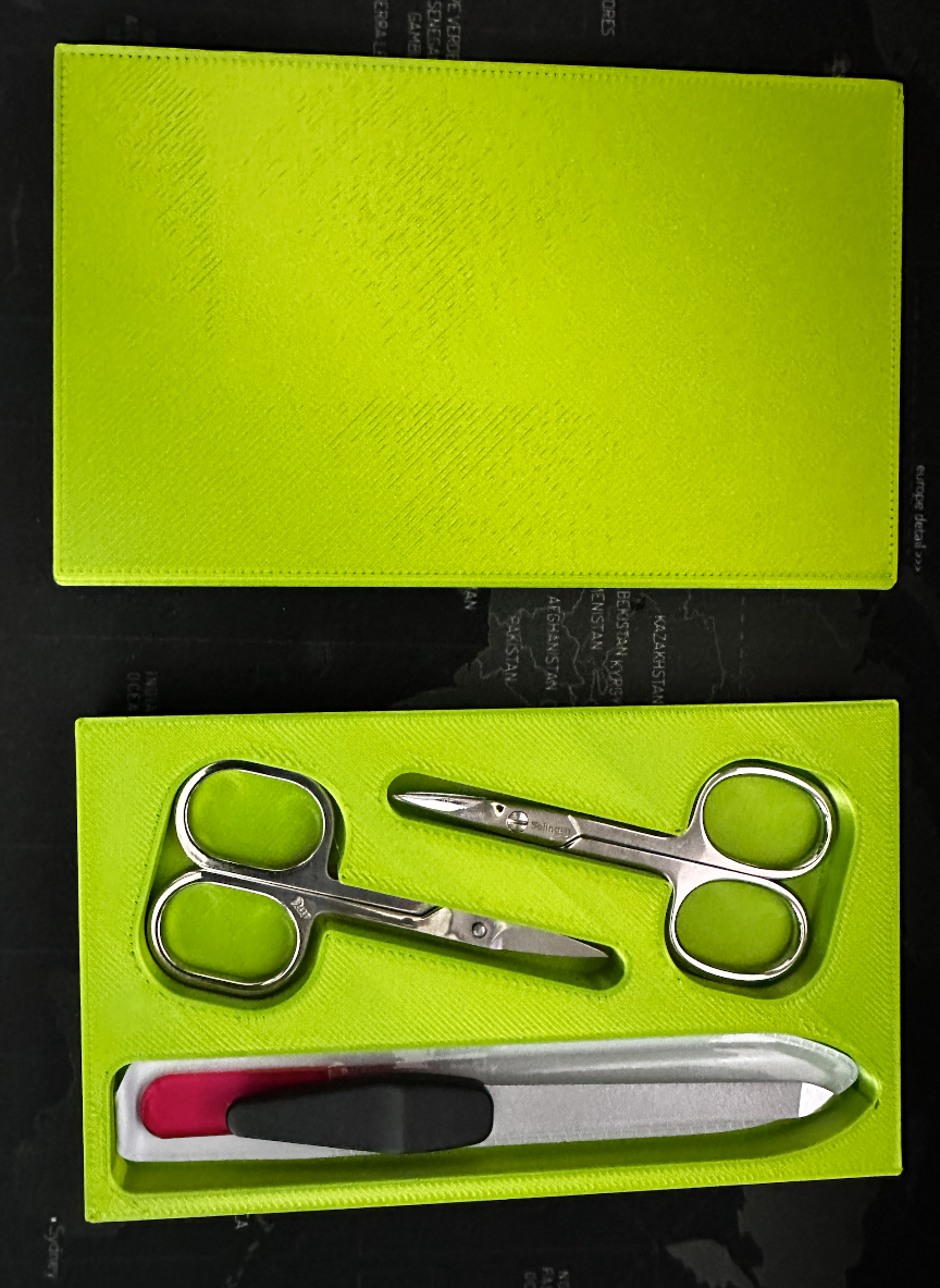 Manicure case