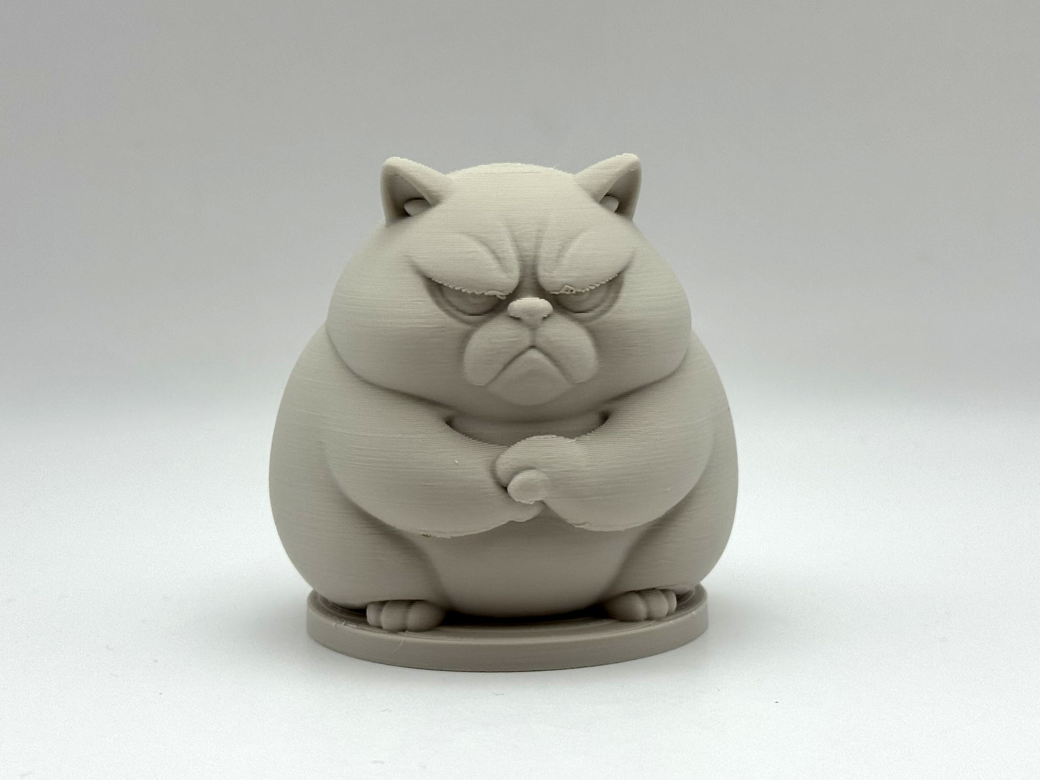 Grumpy Chonk Cat