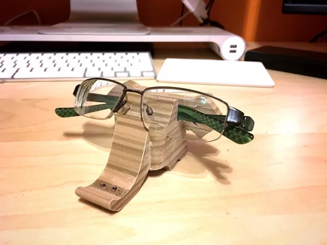 Elephant Eye Glasses Holder