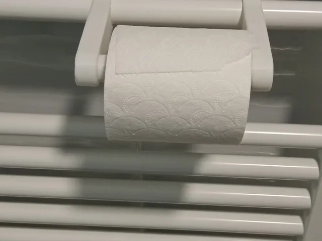 Toilet paper holder