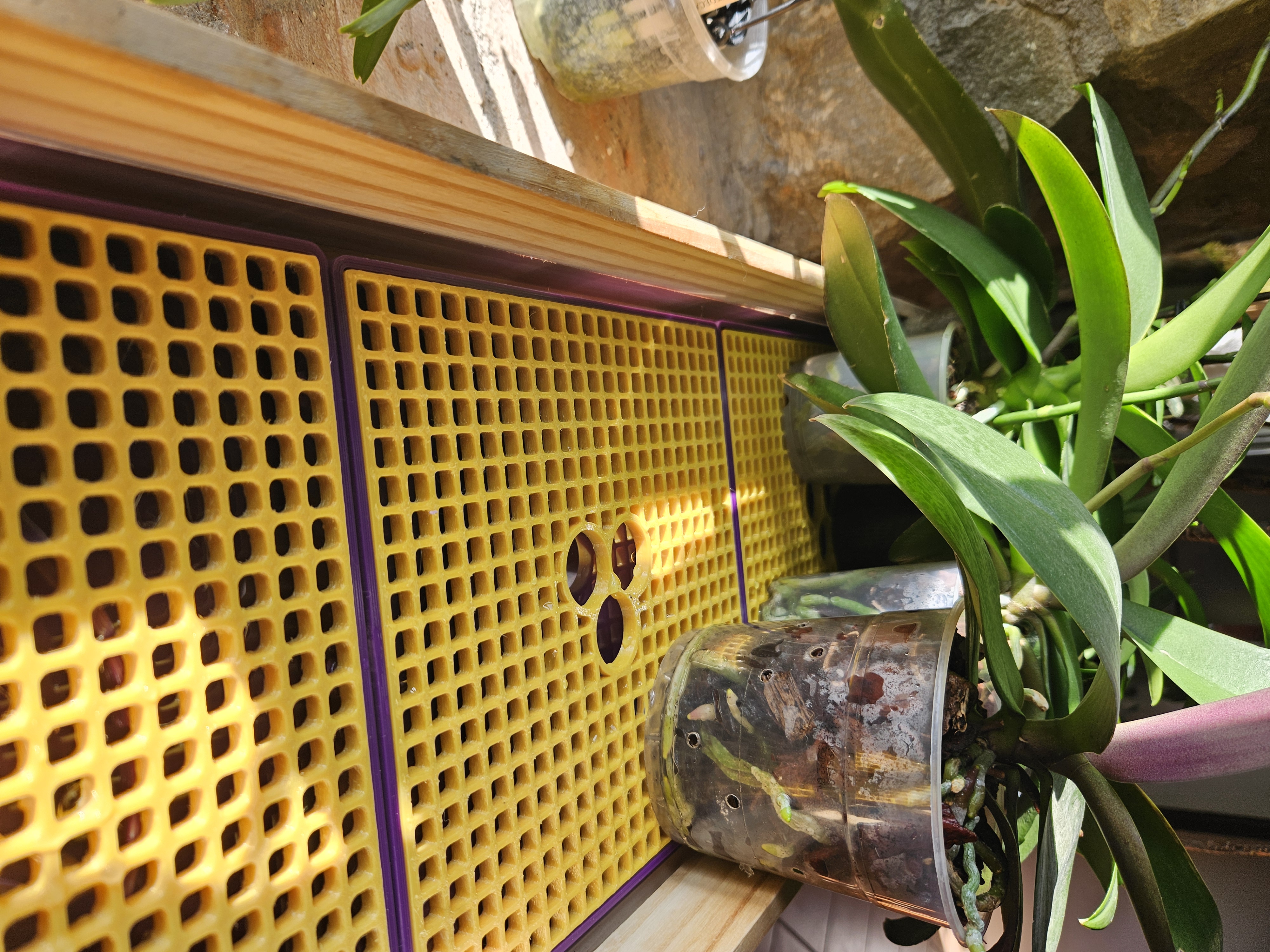 Humidity Tray (especially for orchids)