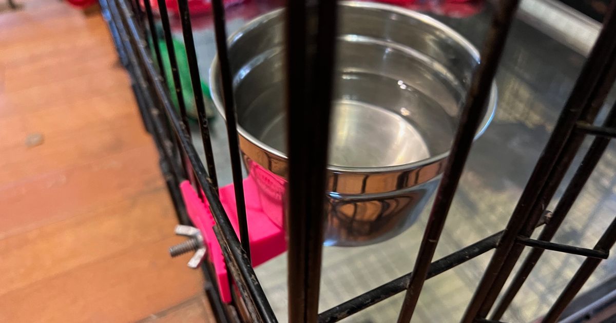 Water Bowl Crate Mount by Steve Download free STL model