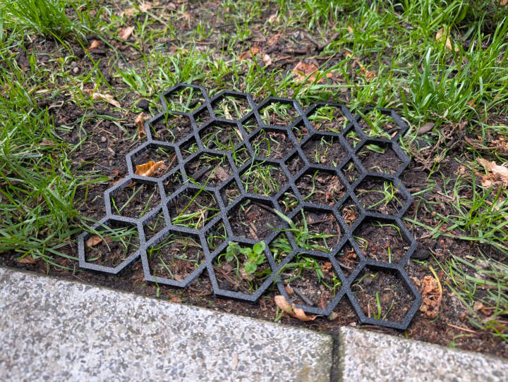Lawn grass protectory grid