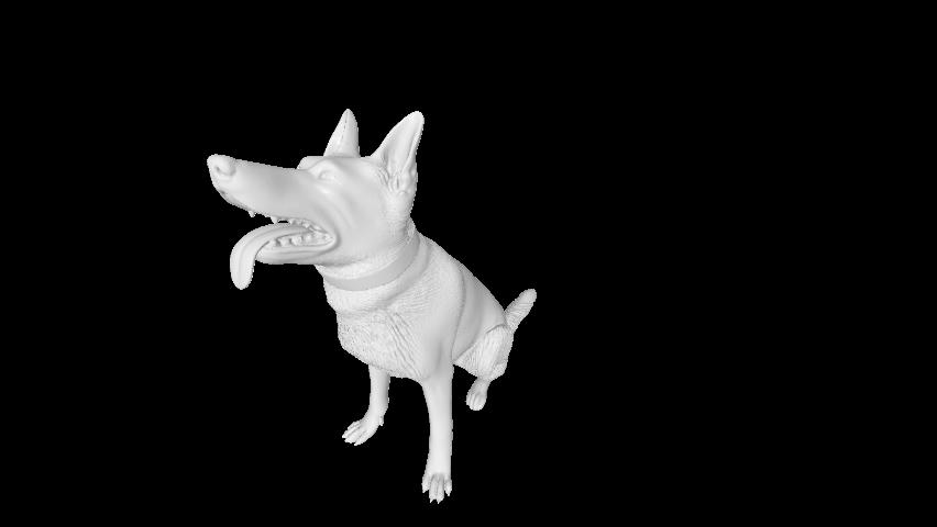 German Shepherd 2