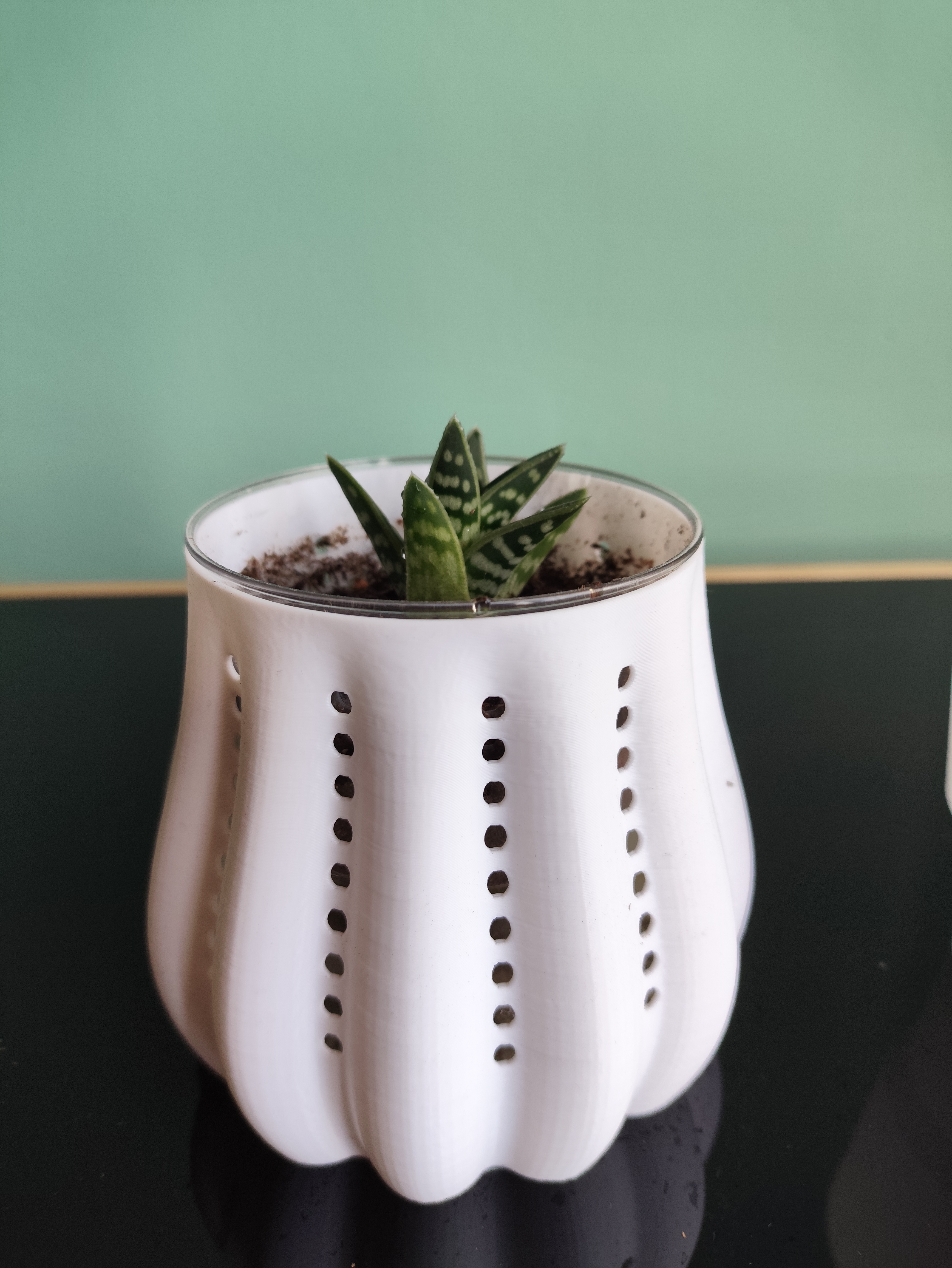 Pot and planter for plants | Fast print