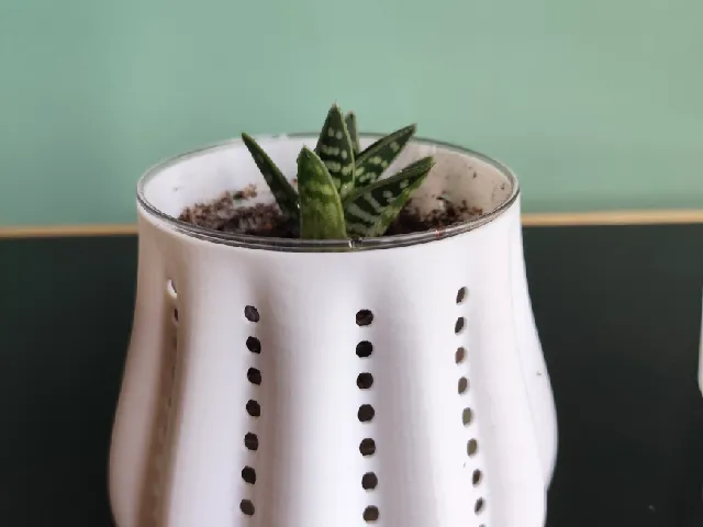 Pot and planter for plants | Fast print