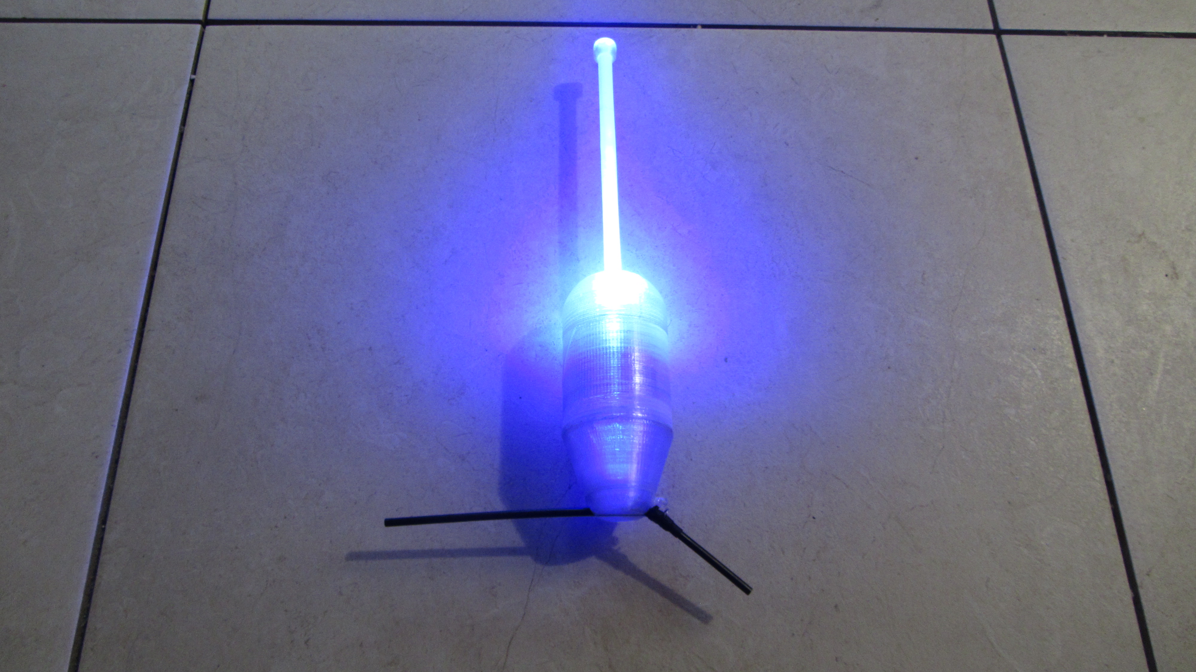 Glow-in-the-Dark 3D Fishing Float for Carp & Predator