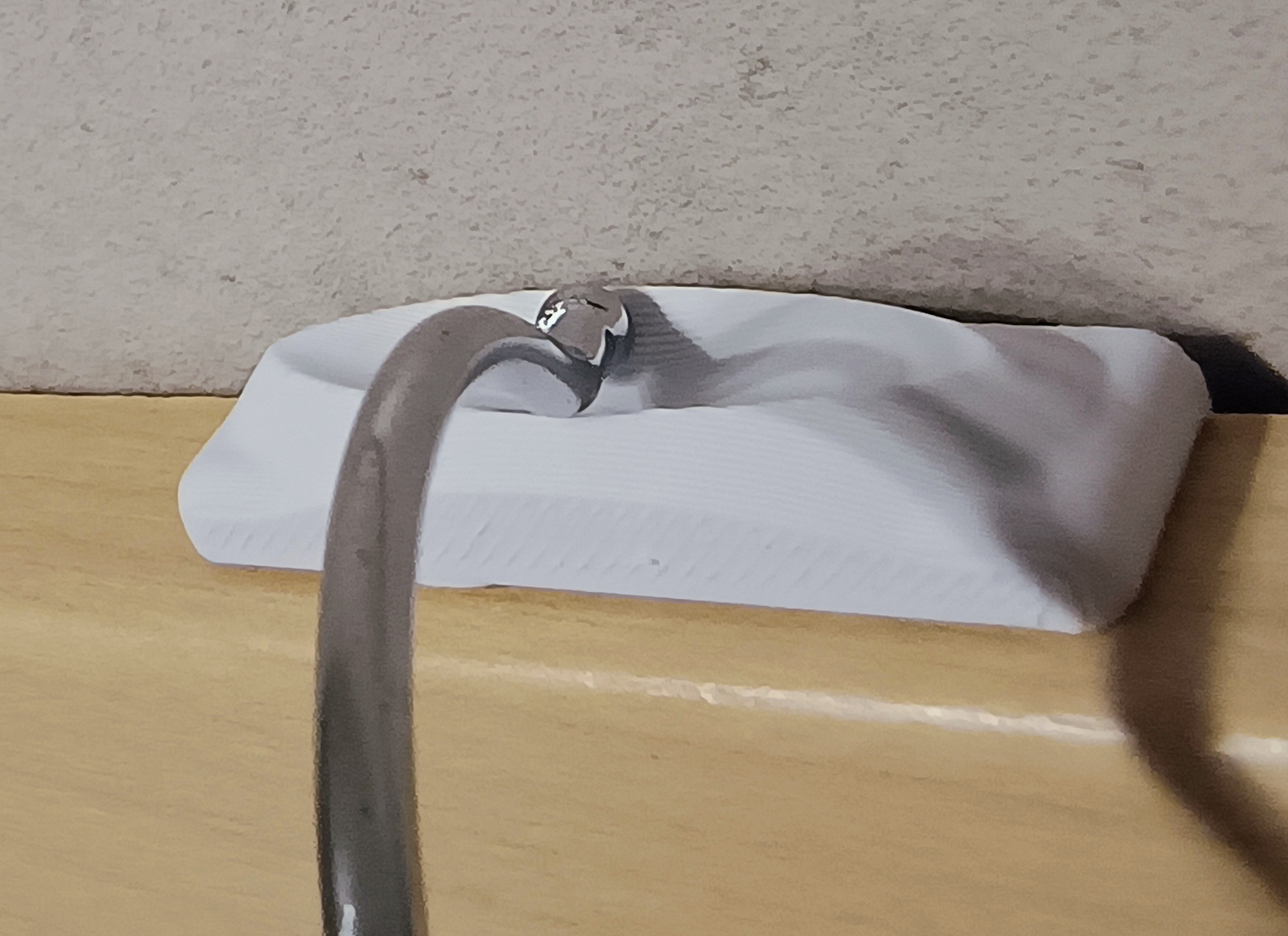 Kleiderbügelaufnahme für Türrahmen, klemmbar + klebbar mit Patafix / Clothes Hanger Mount for Door Frames / clampable + adhesive with blu tack