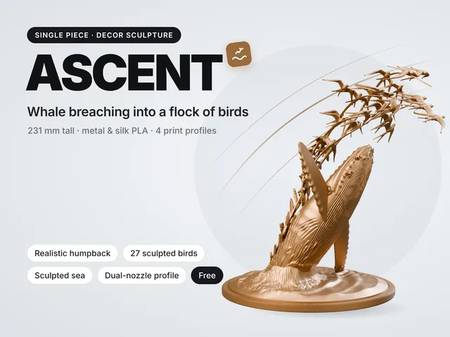 ASCENT - Whale Breaching into a Flock of Birds
