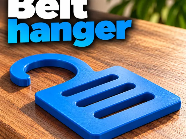 Belt hanger