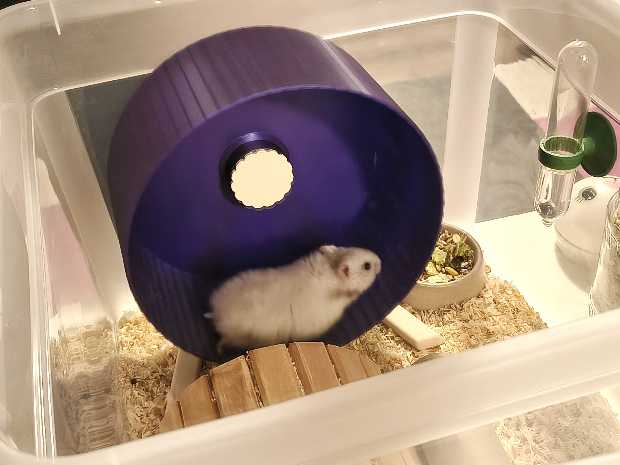 Hamster wheel — miniatura 5