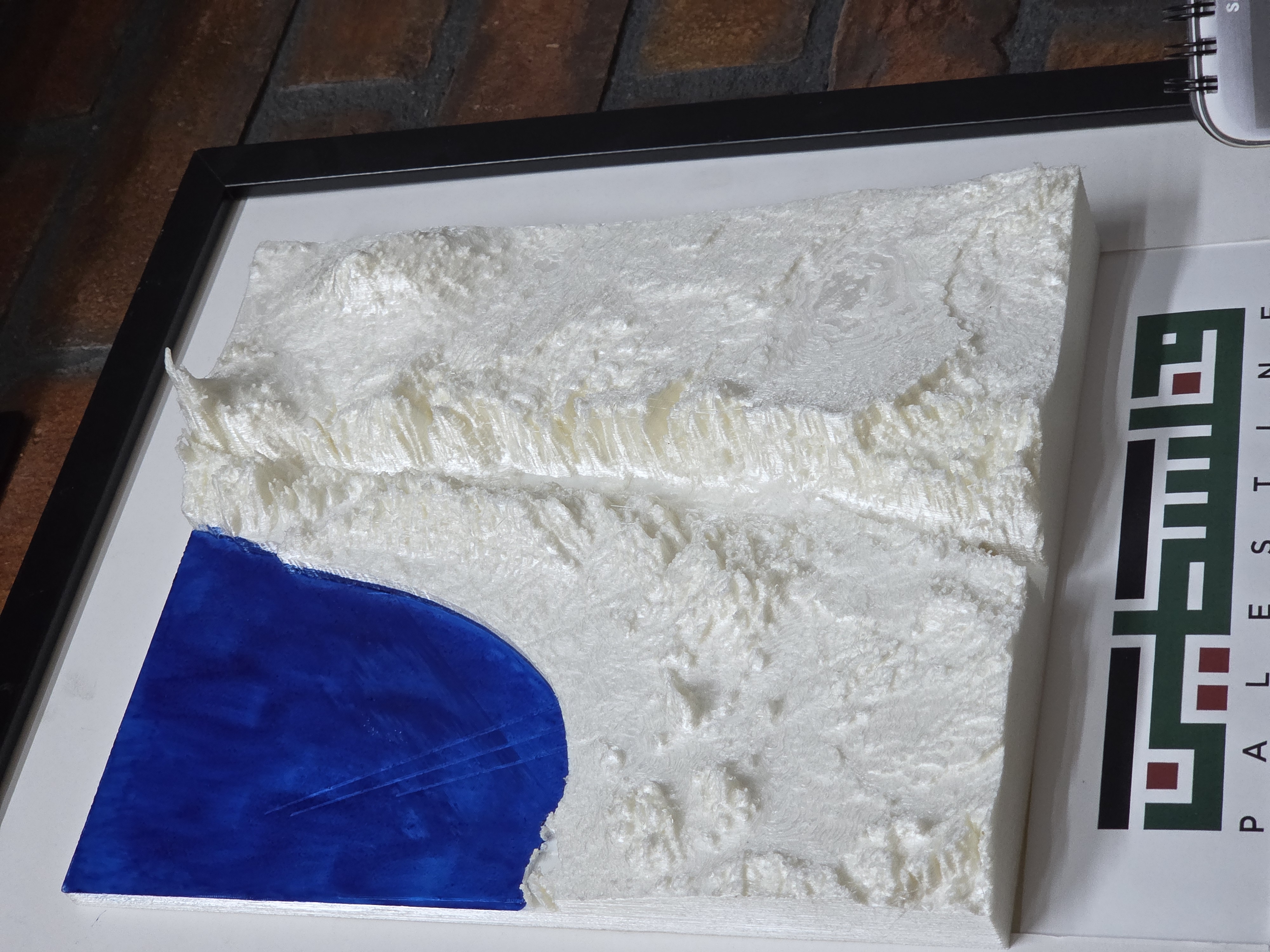 Palestine Topographical Map — miniatura 2
