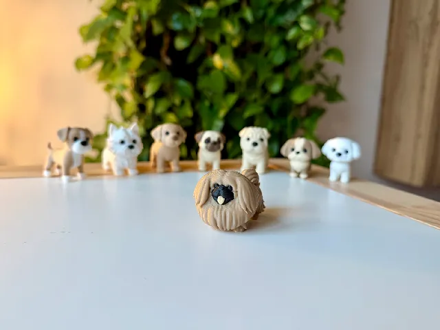 Pekingese