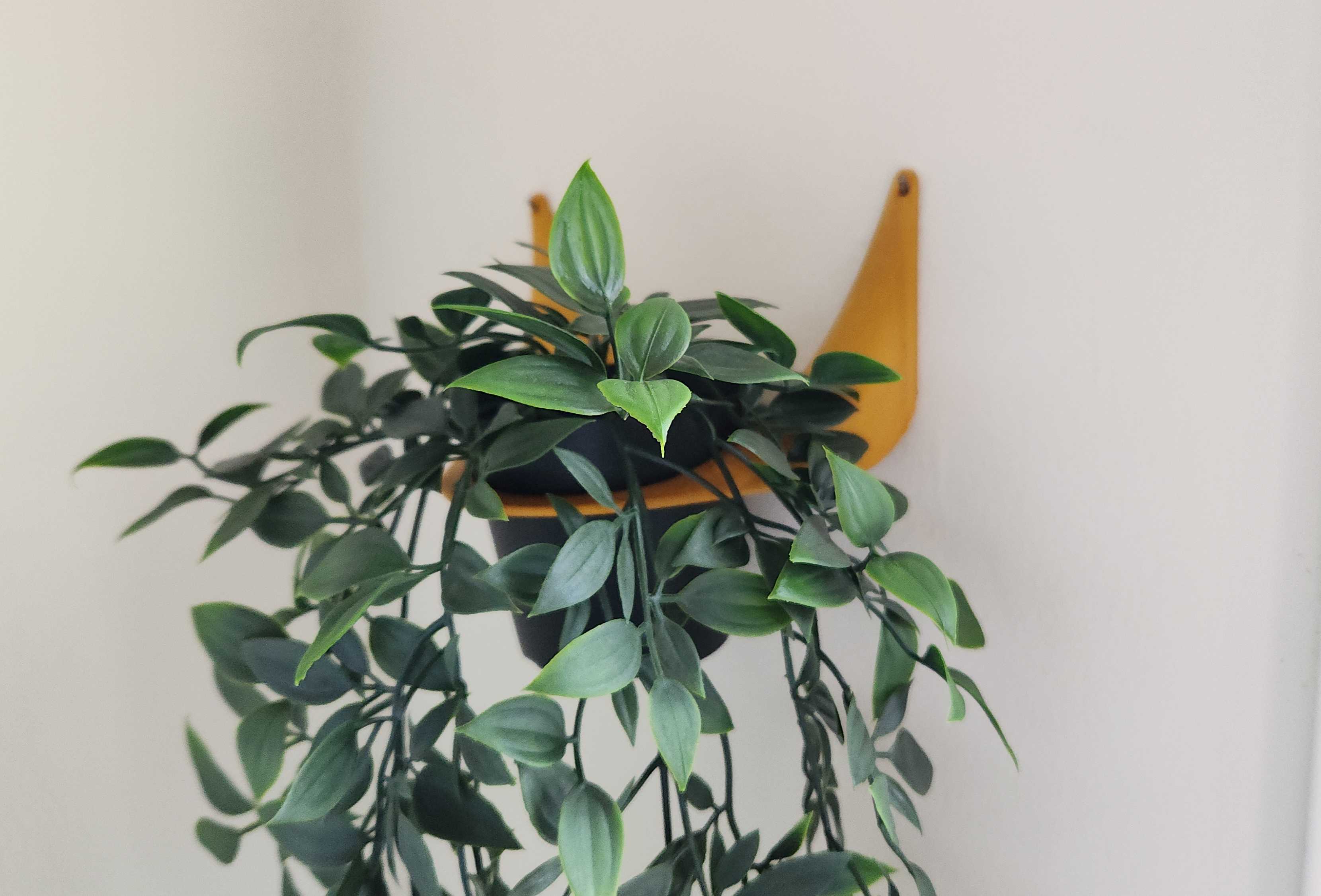 Ikea FEJKA wall hanger