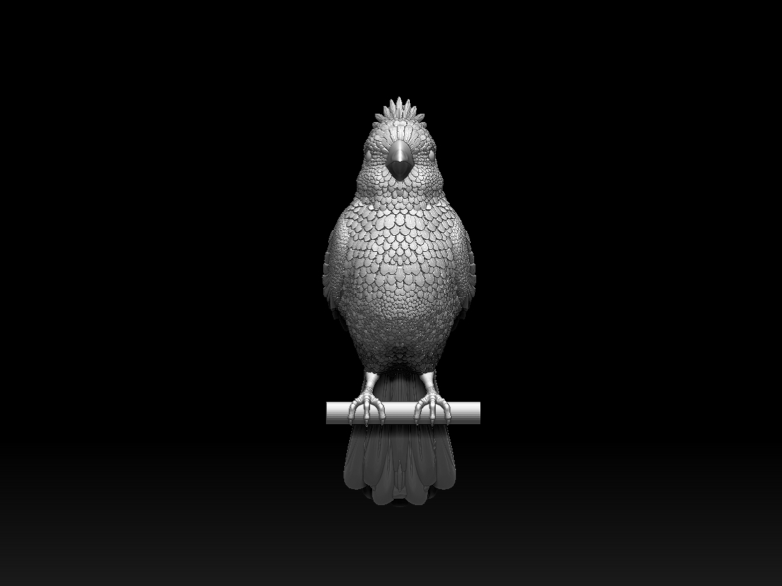 red cardinal — miniatura 7
