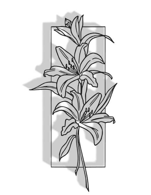 Flowers Decor