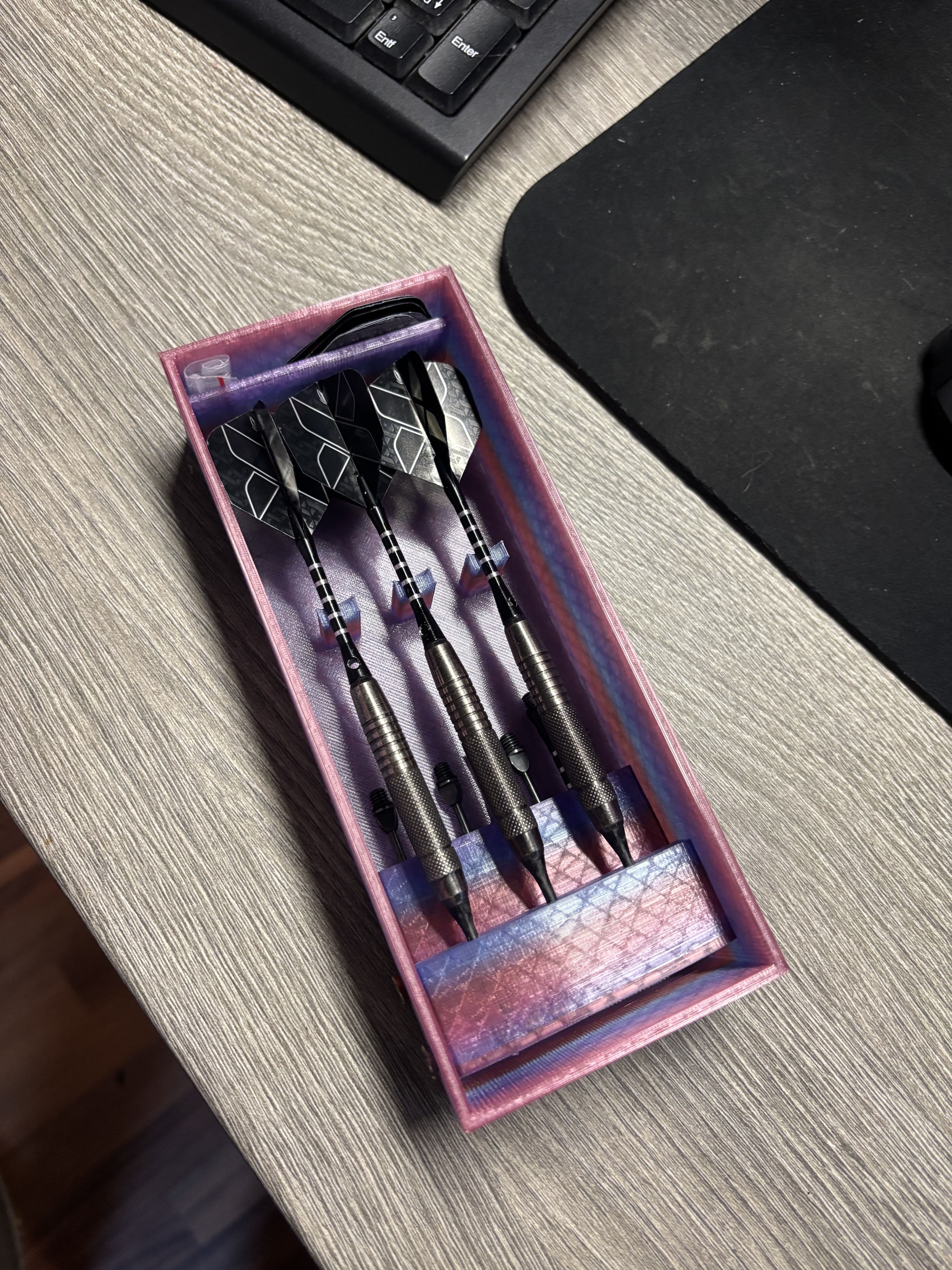 Darts Travel Case