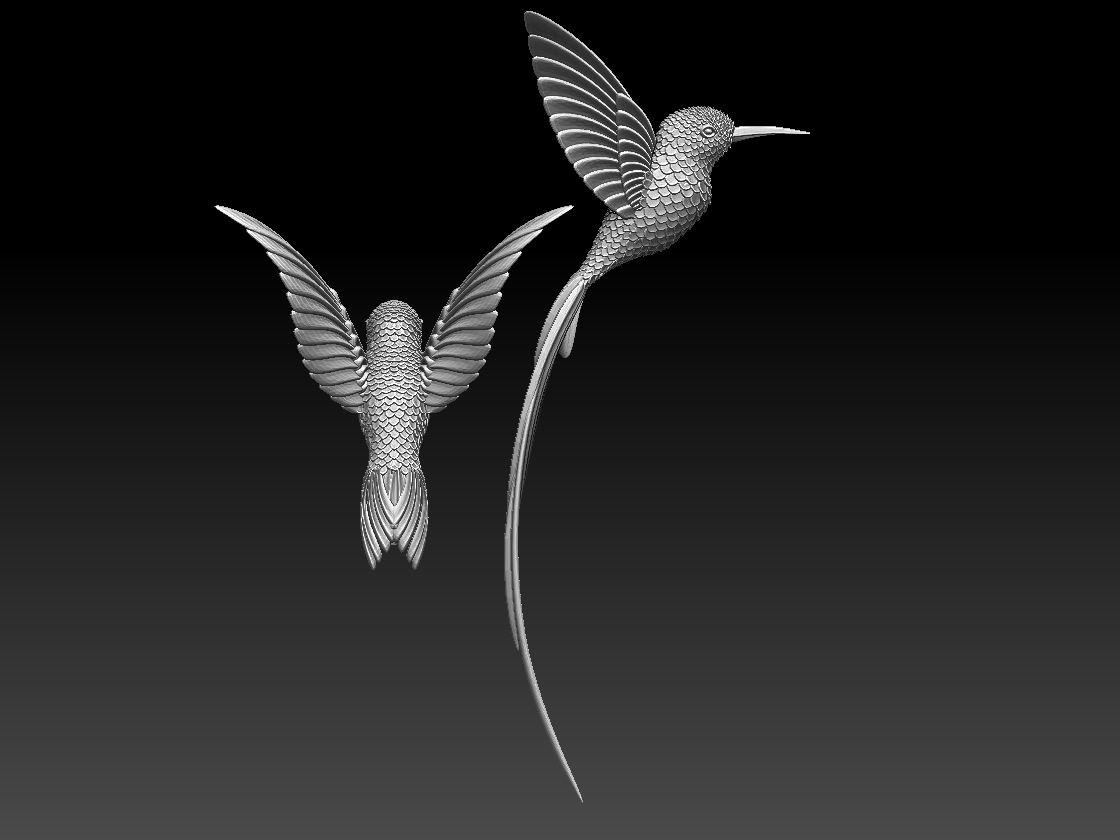 hummingbird — miniatura 3