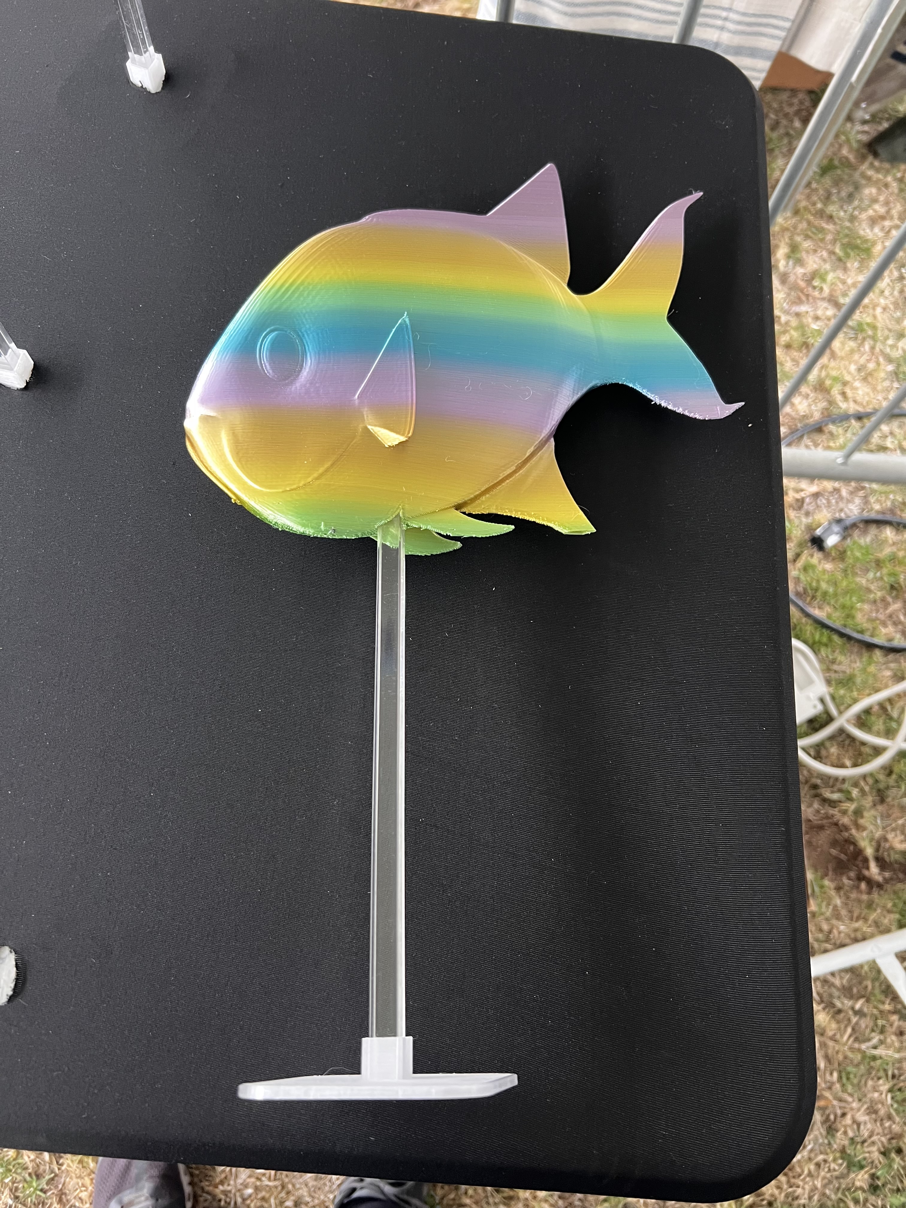 Streched Perspective Fish — miniatura 2