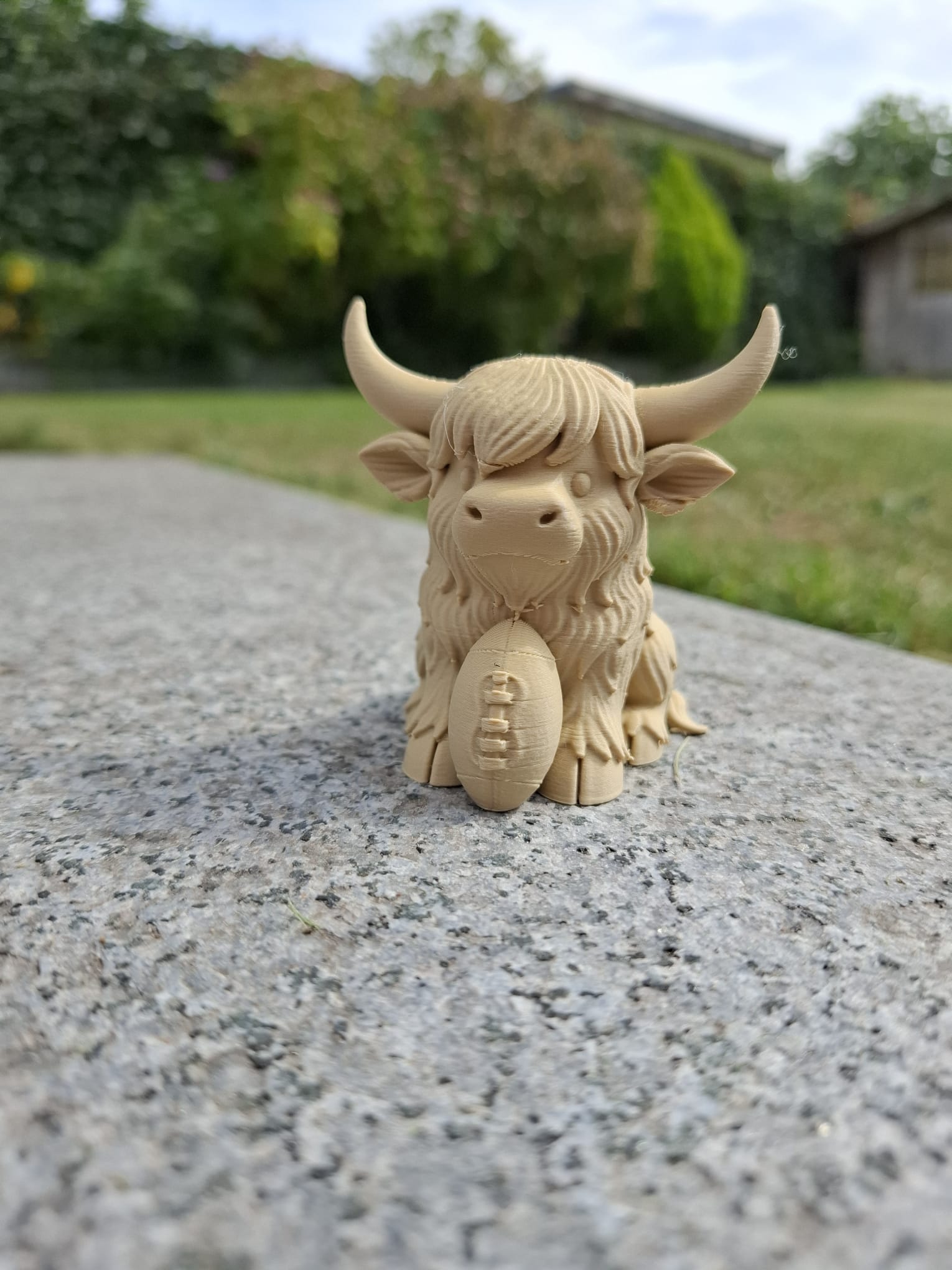 Sporty Highland Friend