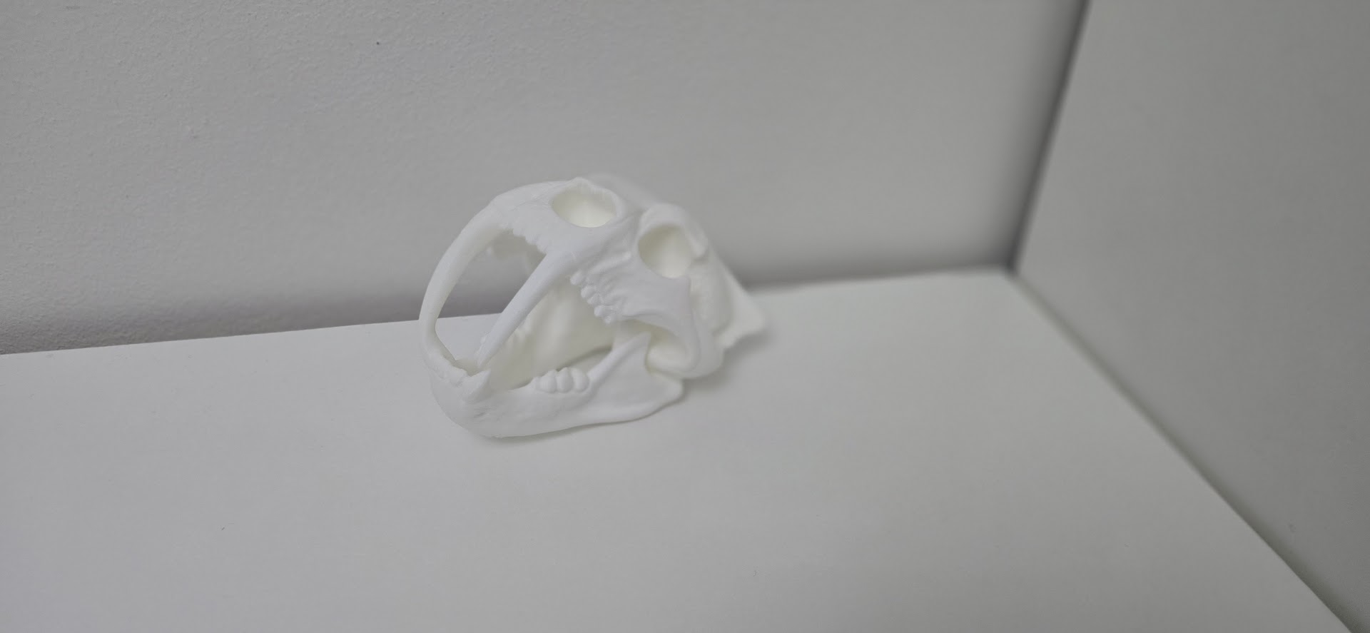 Saber-Tooth Skull – Halloween Special