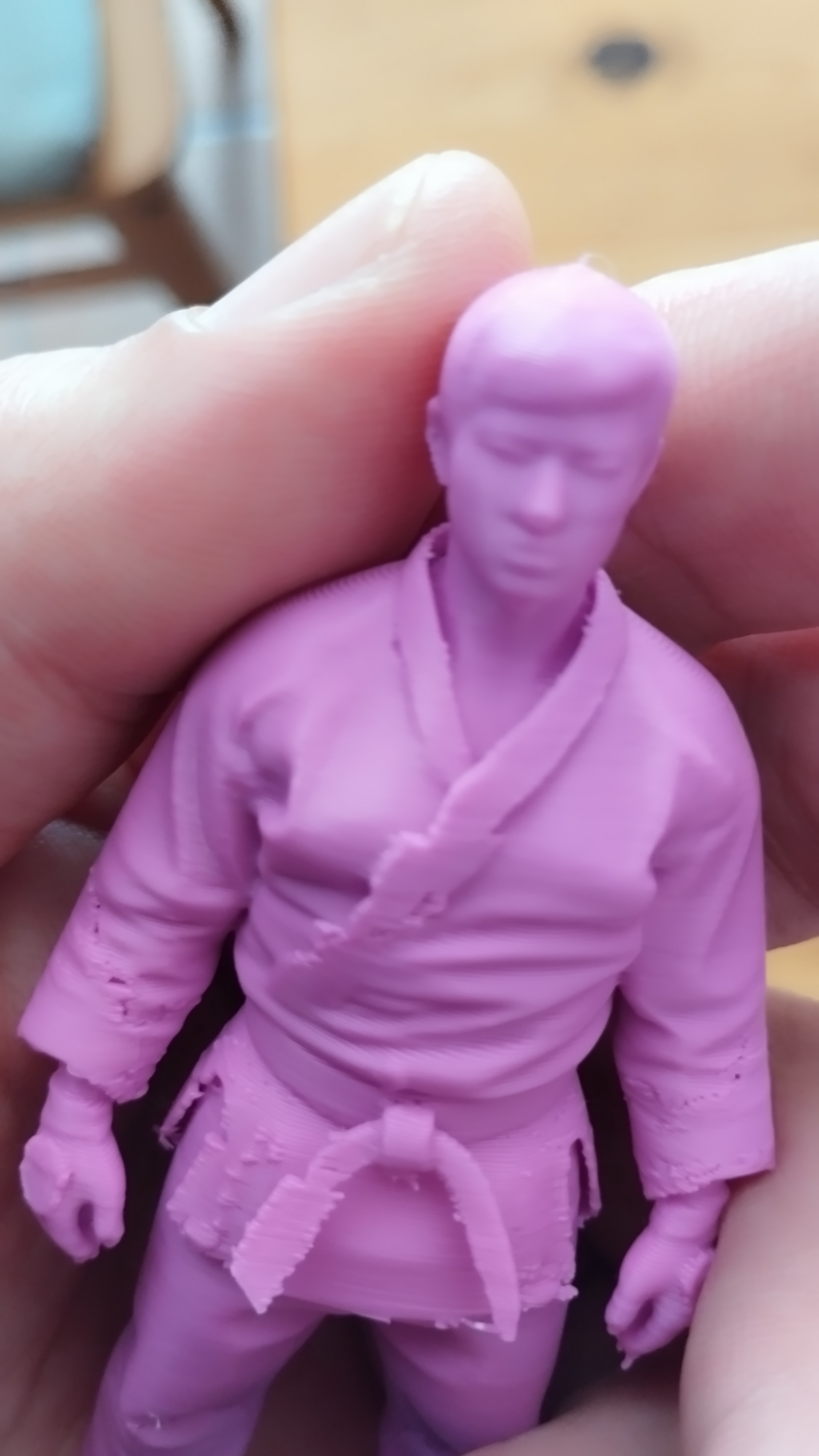 Judoka — miniatura 6
