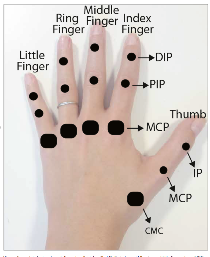 Little finger orthosis