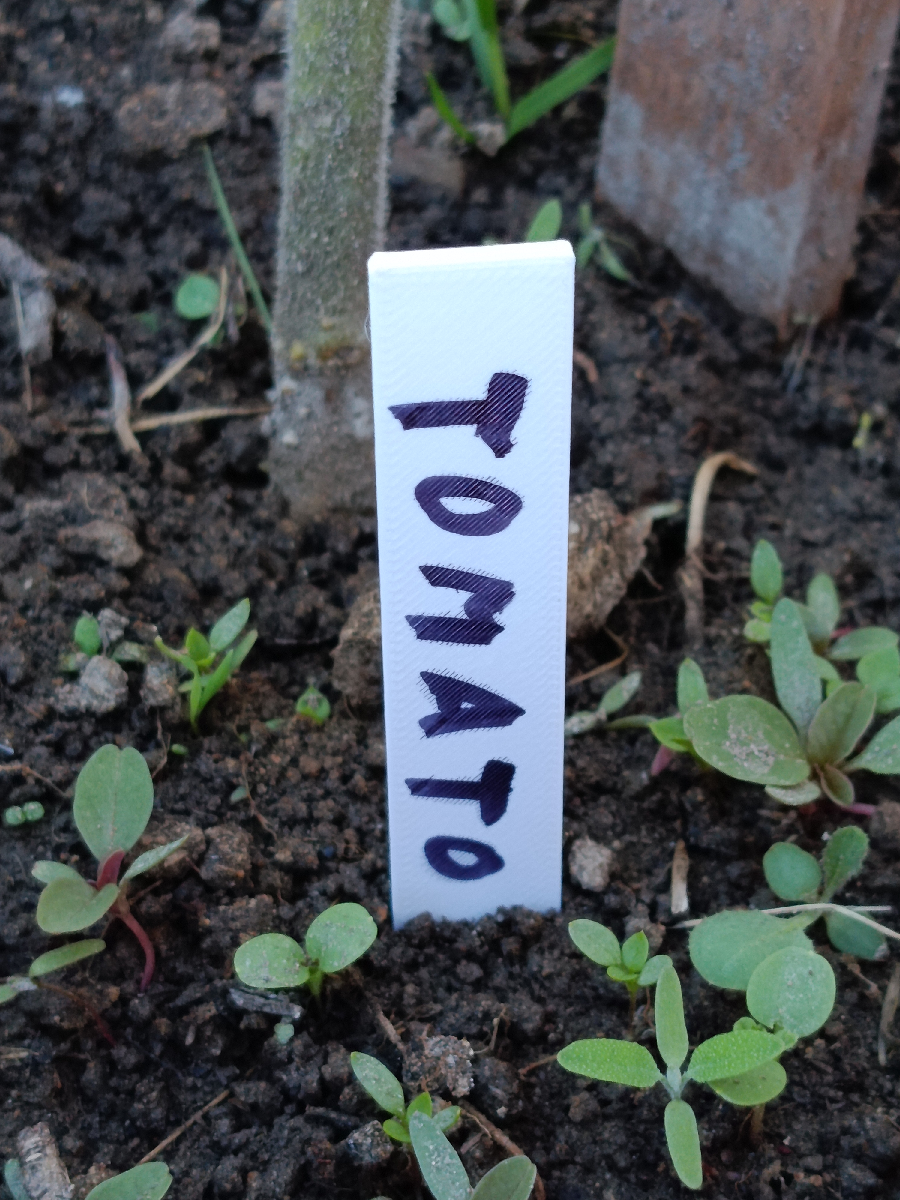 Plant label V2